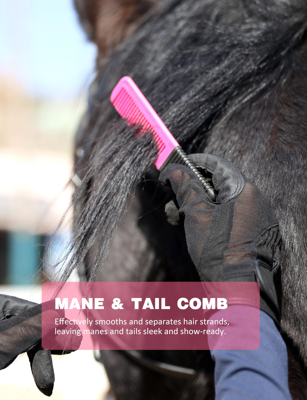 Kit de aseo Shinewell para caballos, set completo de cepillos para caballos, herramientas de aseo equino para muda y cuidado diario Naranja