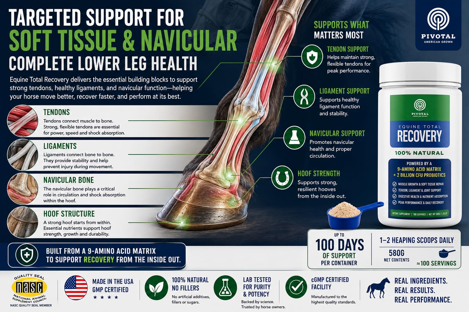 Pivotal Feeds Equine Total Recovery Suplemento – 9 aminoácidos y probióticos para caballos | Recuperación muscular, rendimiento y apoyo digestivo | Aderezo de pienso para caballos | 100 porciones