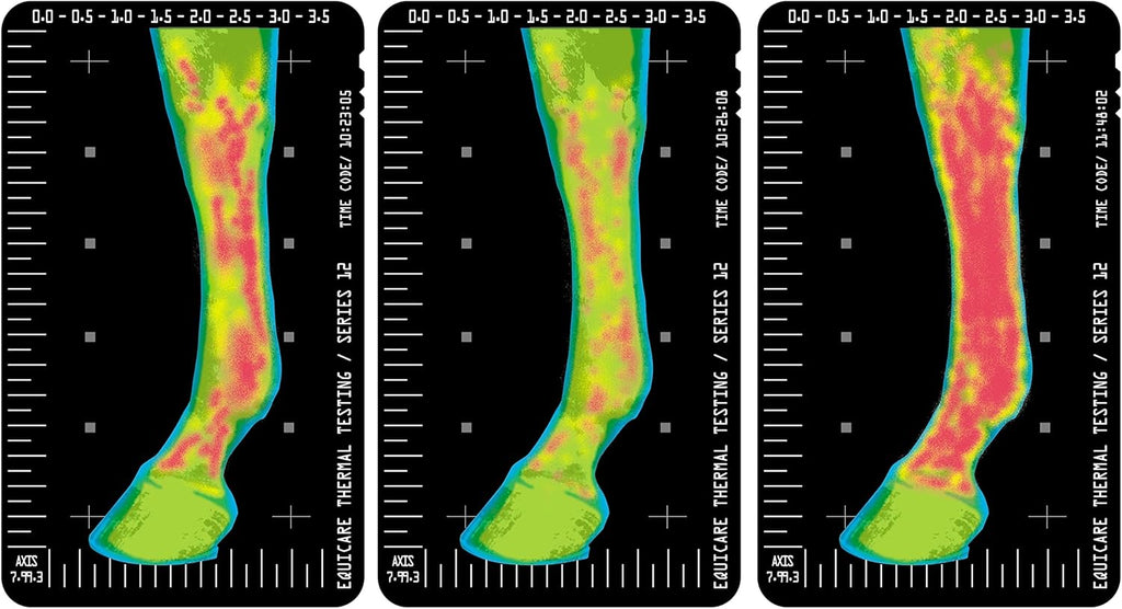 Gel linimento Thermaflex de Vita Flex para el alivio del dolor muscular y articular en caballos, 12 onzas líquidas