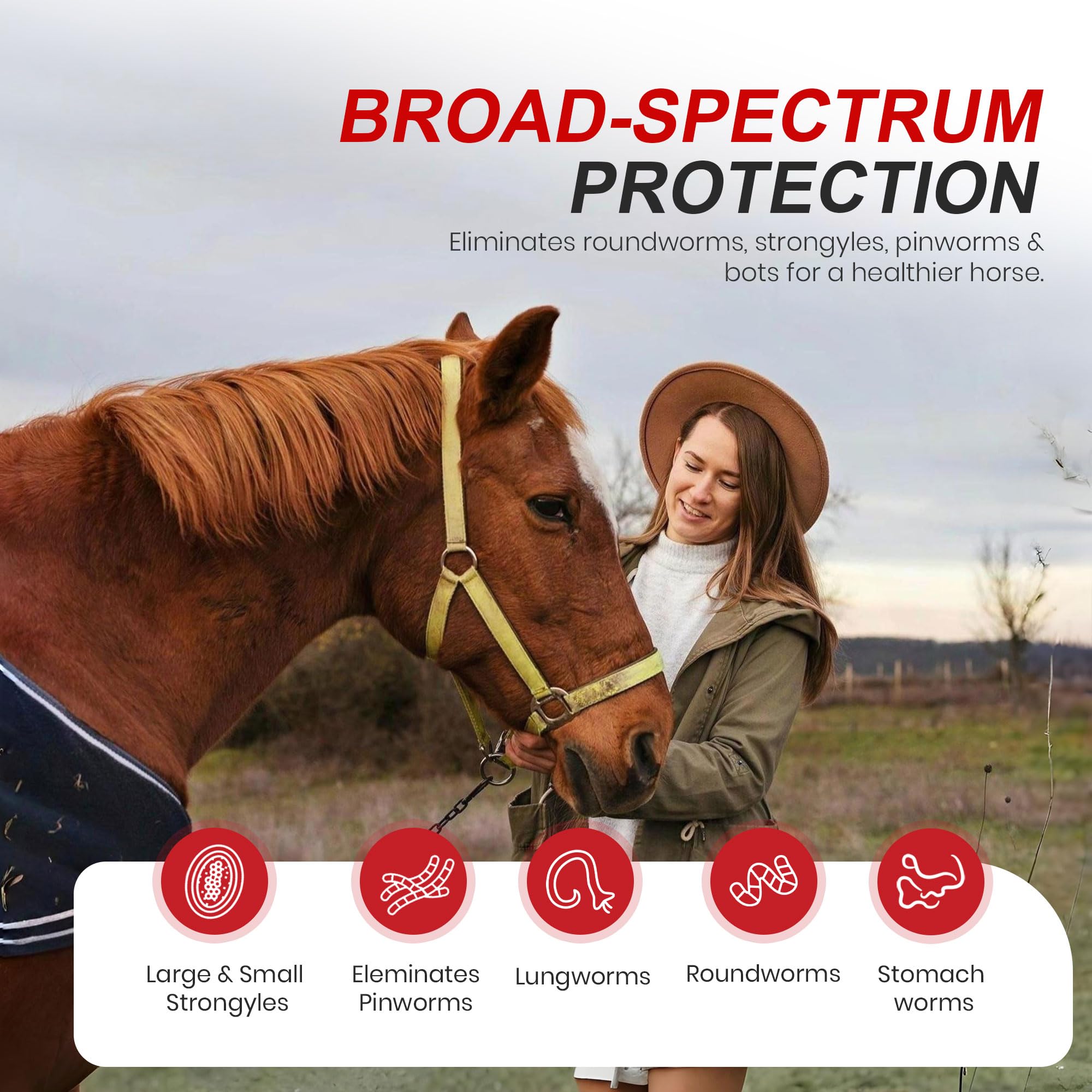 Ivermectin Horse Paste 1.87% Dewormer 6.08g Dose-Effective Appled Flavored Ivermectin Paste for Equine Care,Horse Deworming Paste -for Horses Up to 1250 lb (24 Pack)