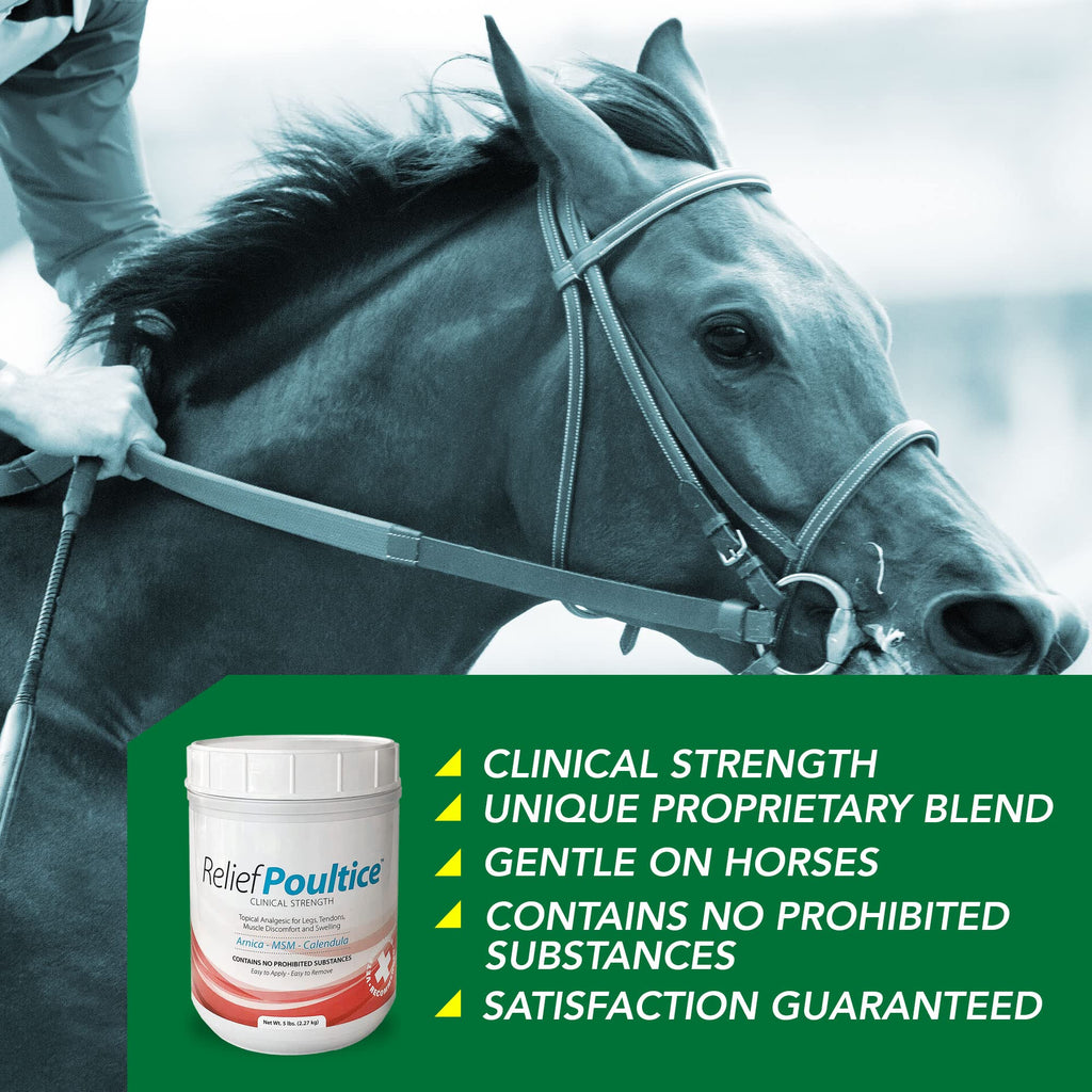 Ramard Relief Poultice for Horses -Veterinary Liniment Gel for Horse Muscle, Joint, Tendon & Ligament Care -Equine Poultice Leg Wraps, Gentle Liniment Bentonite Clay, Arnica, Calendula, & MSM 5lbs Tub