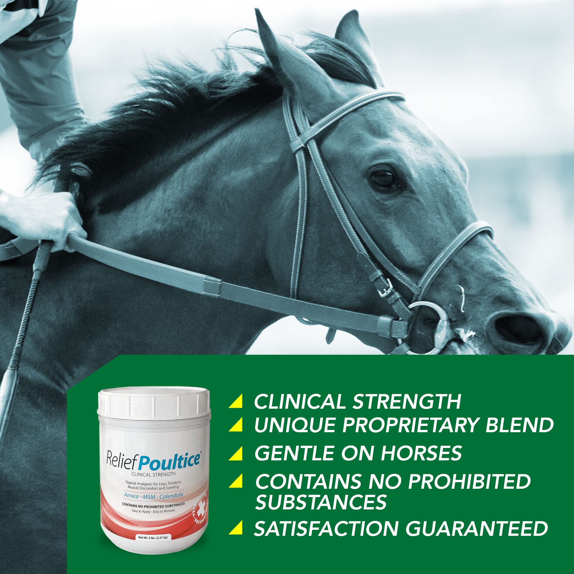 Ramard Relief Poultice for Horses -Veterinary Liniment Gel for Horse Muscle, Joint, Tendon & Ligament Care -Equine Poultice Leg Wraps, Gentle Liniment Bentonite Clay, Arnica, Calendula, & MSM 5lbs Tub