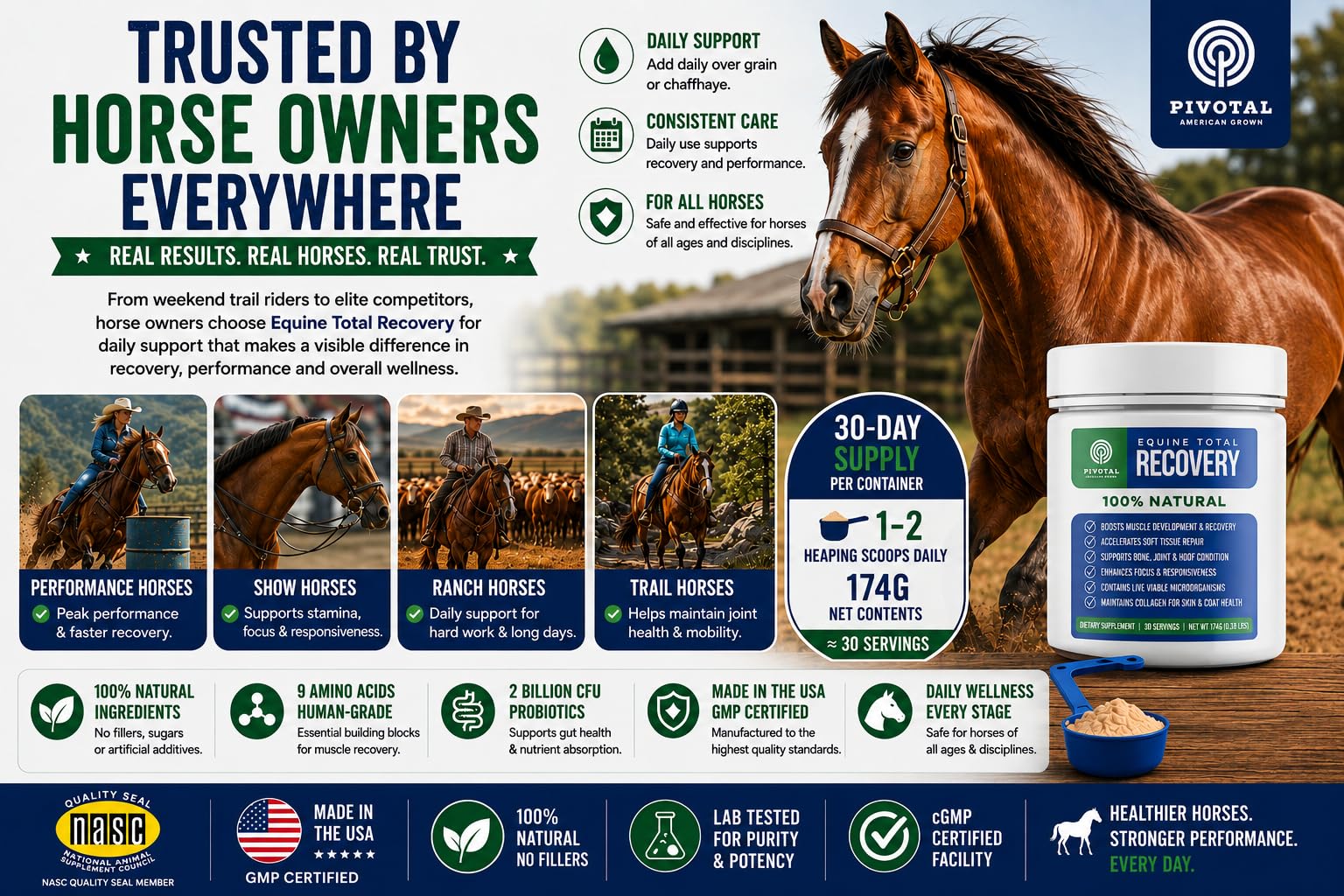 Pivotal Feeds Equine Total Recovery Suplemento – 9 aminoácidos y probióticos para caballos | Recuperación muscular, rendimiento y apoyo digestivo | Aderezo de pienso para caballos | 100 porciones