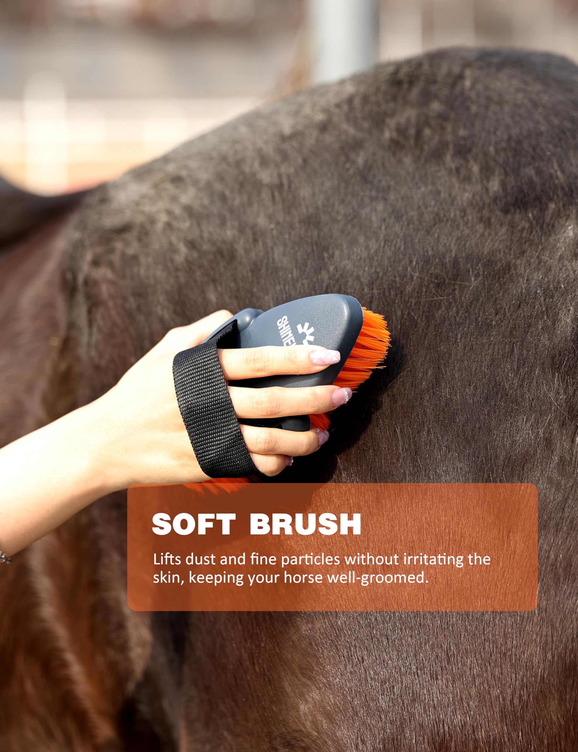 Kit de aseo Shinewell para caballos, set completo de cepillos para caballos, herramientas de aseo equino para muda y cuidado diario Naranja