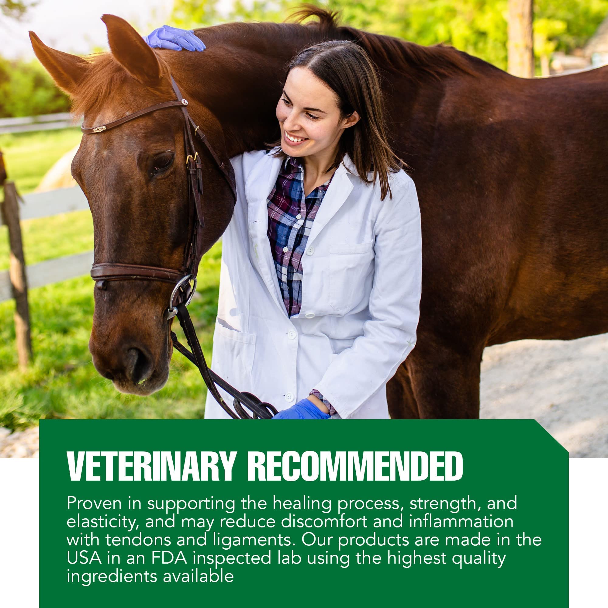 Ramard Total Tendon Repair –Advanced Powder Supplement with Vitamin C, Collagen, and MSM for Horse Joint, Ligament, and Tendon Support - Supplements for Elasticity and Strength – 90 Day Supply