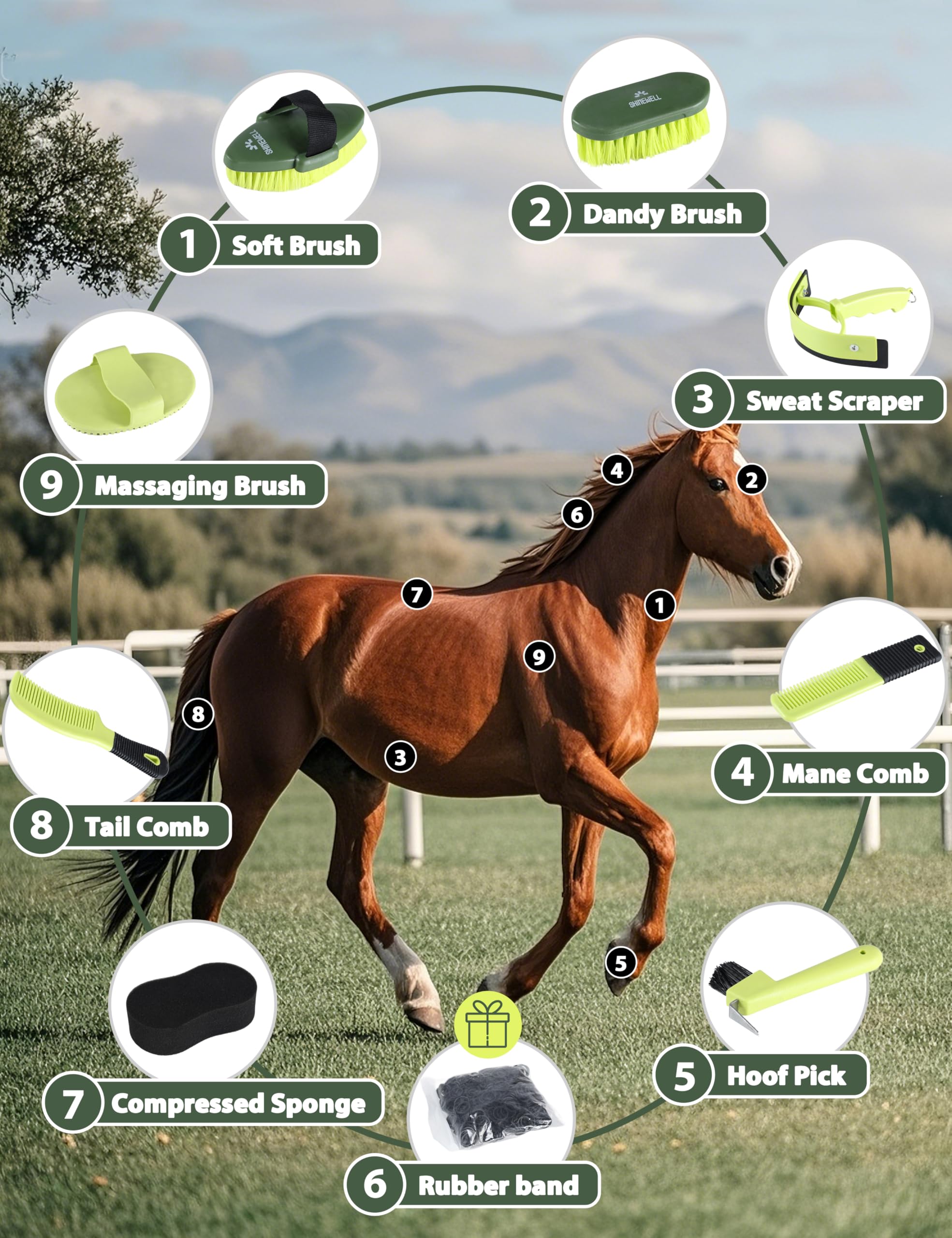 Kit de aseo Shinewell para caballos, set completo de cepillos para caballos, herramientas de aseo equino para muda y cuidado diario Naranja