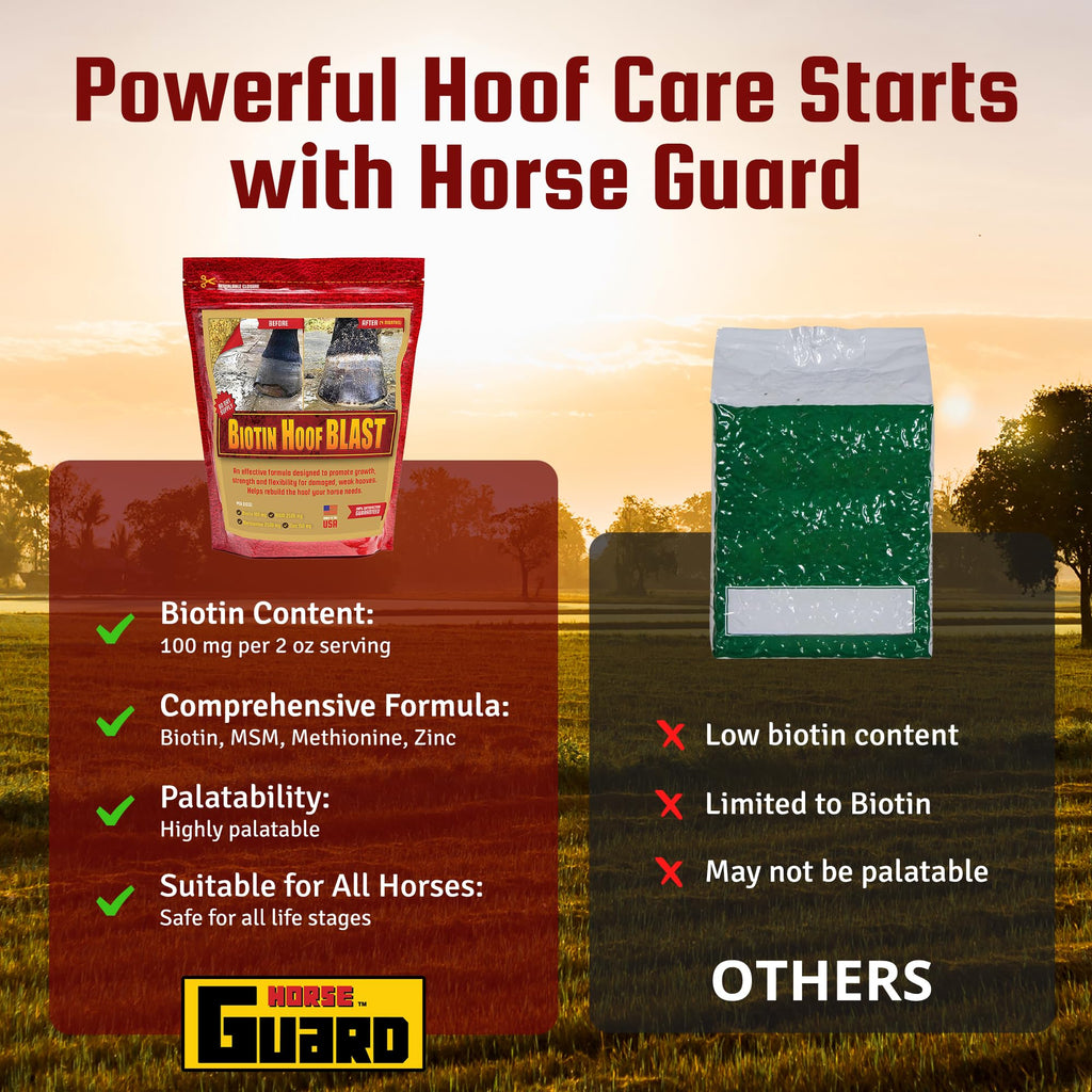 Suplementos para cascos Horse Guard para caballos - 80 dosis - Bolsa Biotin Hoof Blast de 10 lb con 100 mg de biotina por dosis - Salud concentrada para cascos equinos, fortalecedor con MSM, metionina, zinc