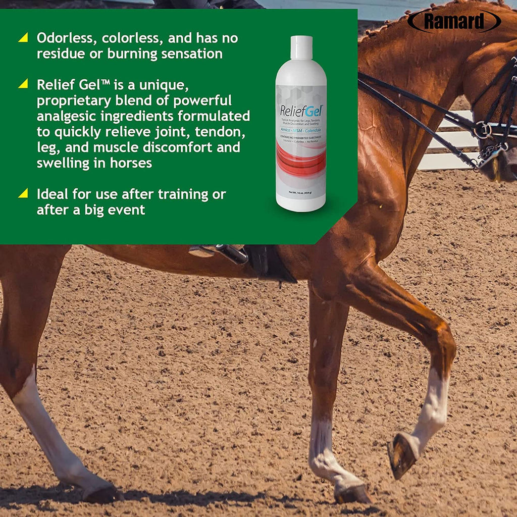 Ramard Relief Poultice for Horses -Veterinary Liniment Gel for Horse Muscle, Joint, Tendon & Ligament Care -Equine Poultice Leg Wraps, Gentle Liniment Bentonite Clay, Arnica, Calendula, & MSM 5lbs Tub