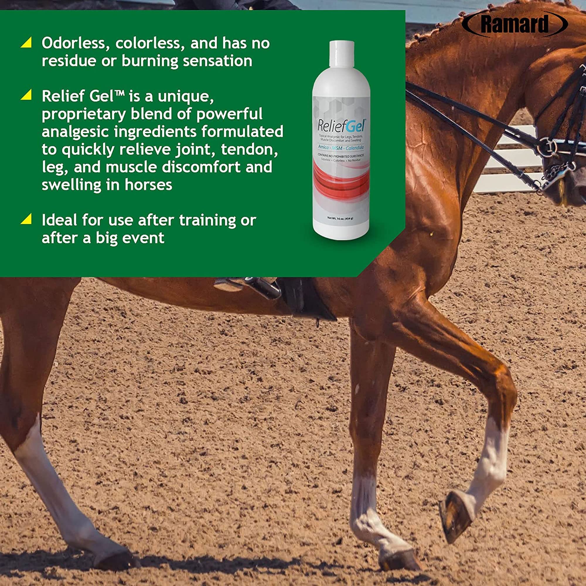 Ramard Relief Poultice for Horses -Veterinary Liniment Gel for Horse Muscle, Joint, Tendon & Ligament Care -Equine Poultice Leg Wraps, Gentle Liniment Bentonite Clay, Arnica, Calendula, & MSM 5lbs Tub