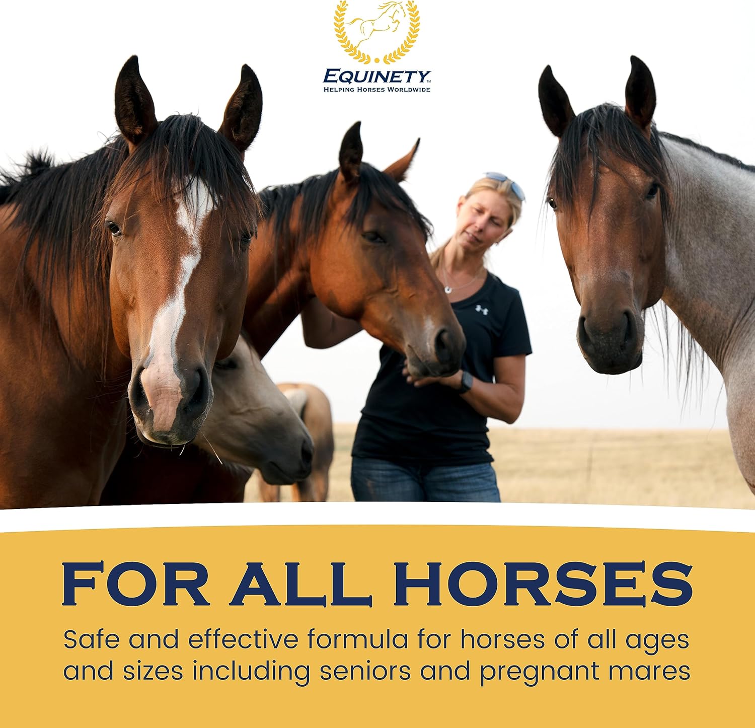 Suplemento ecuestre definitivo OEC – Omega 3, vitamina E, aceite de linaza para caballos – Defensa del pelaje, soporte articular y de pezuñas – Aceite equino aprobado por veterinarios para un peso saludable, músculos y recuperación