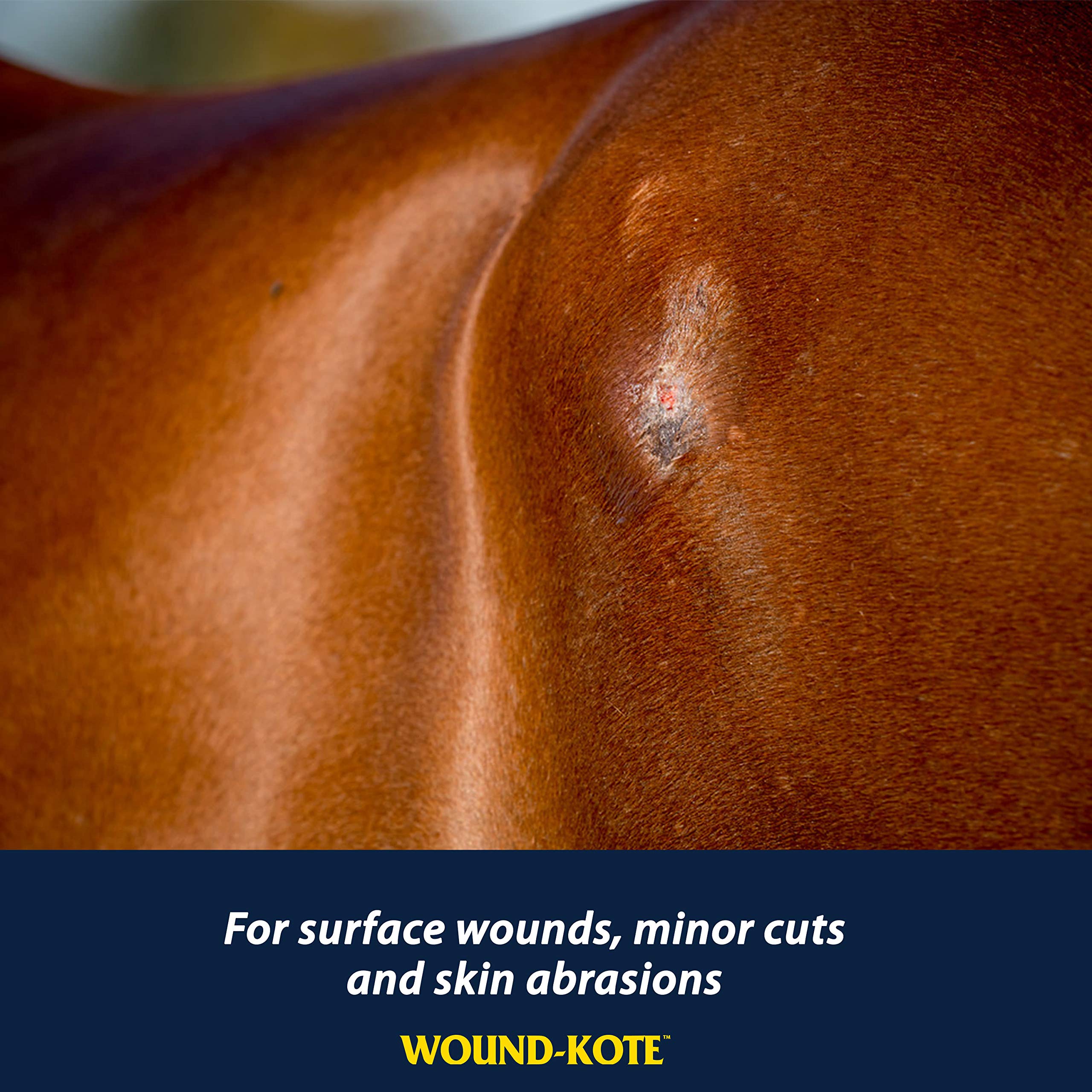 Farnam Wound-Kote Blue Lotion Spray para el cuidado de heridas en caballos y perros, propiedades antisépticas, para heridas leves, cortes y llagas, 7 oz.