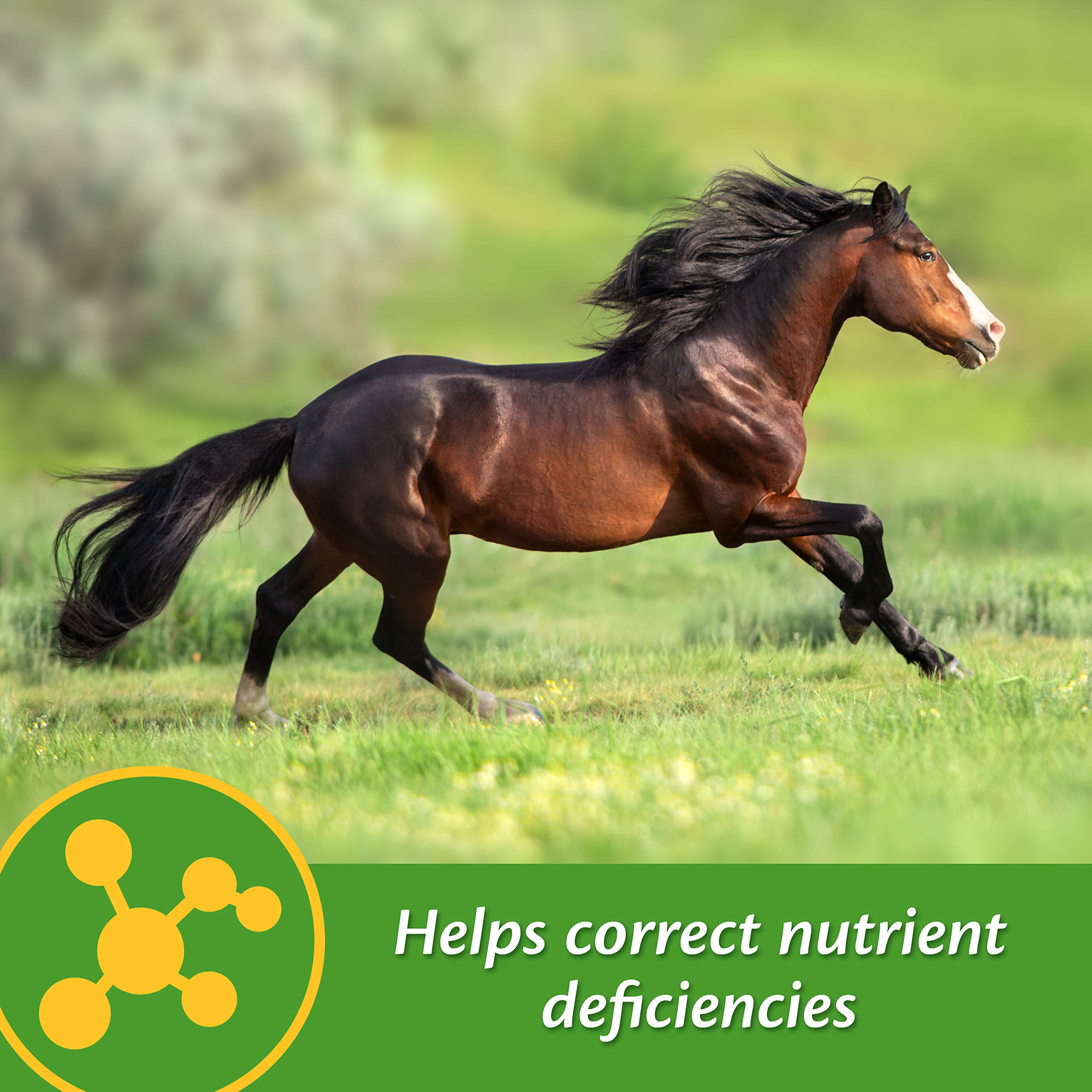 Farnam Vita-Min E & Selenium Antioxidant Supplement for Horses, Horse Vitamin E Supplement, Muscle Health and Peak Condition, 3 lb, 96 Day Supply