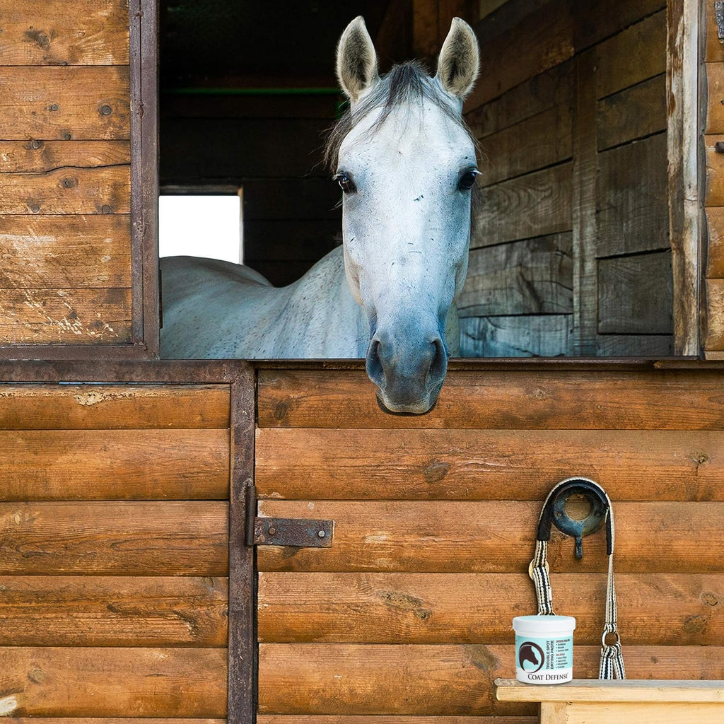 COAT DEFENSE Trouble Spot Drying Paste for Horses - Natural Equine Wound Care That Provides Safe & Effective Relief from Scratches, Sweet Itch, Summer Sores, Proud Flesh, Mud Fever, Girth Rot (10 Oz)