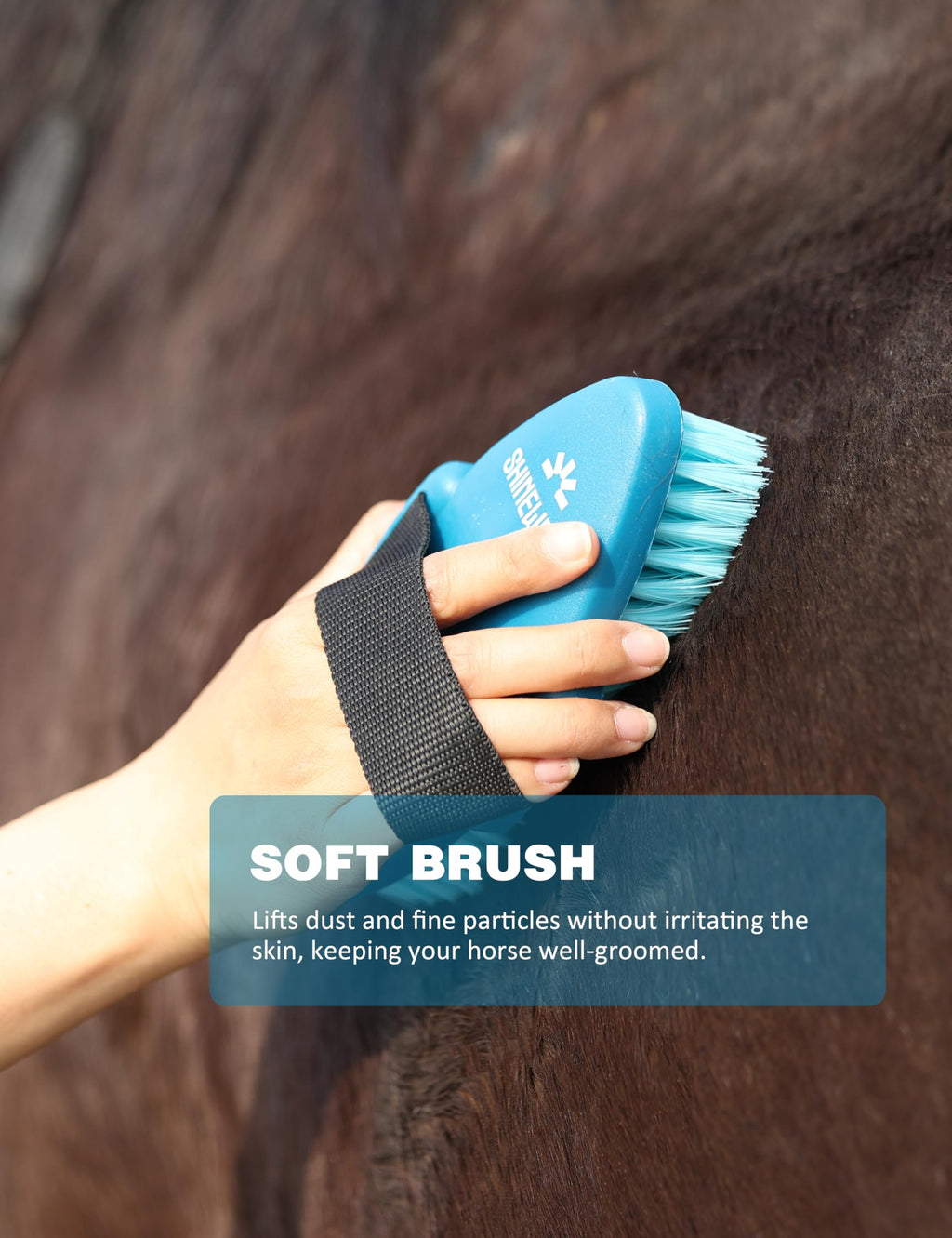 Kit de aseo Shinewell para caballos, set completo de cepillos para caballos, herramientas de aseo equino para muda y cuidado diario Naranja