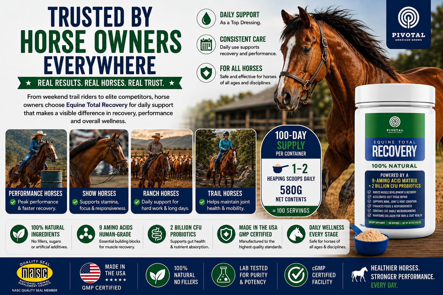 Pivotal Feeds Equine Total Recovery Suplemento – 9 aminoácidos y probióticos para caballos | Recuperación muscular, rendimiento y apoyo digestivo | Aderezo de pienso para caballos | 100 porciones