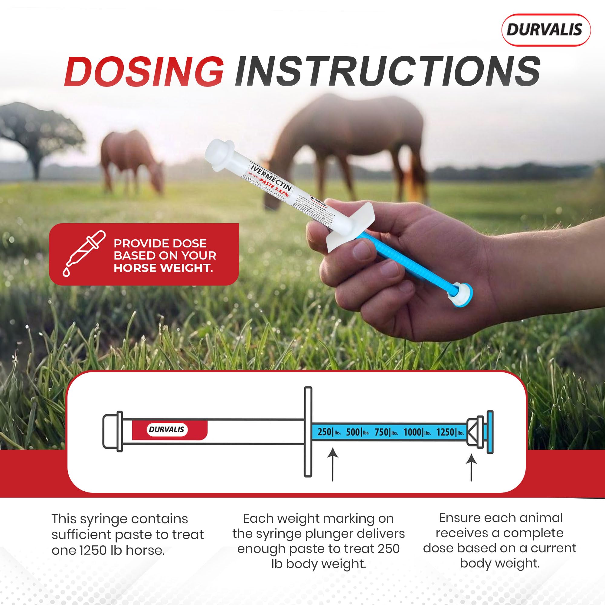 Ivermectin Horse Paste 1.87% Dewormer 6.08g Dose-Effective Appled Flavored Ivermectin Paste for Equine Care,Horse Deworming Paste -for Horses Up to 1250 lb (24 Pack)