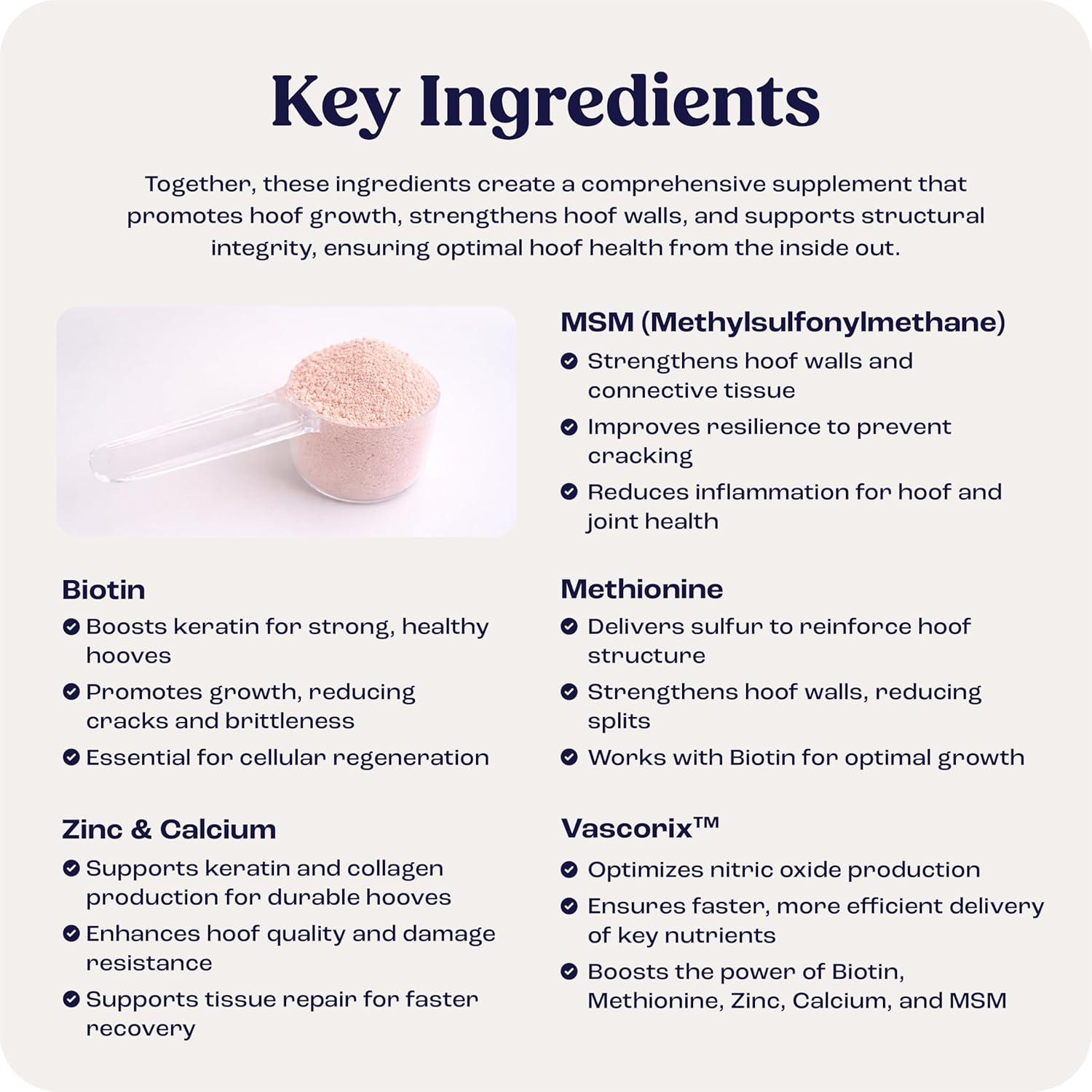 Summit Equine Hoof Strength Powder for Horses, Promotes Healthy Hooves with Biotin, Amino Acids, and Minerals, Horse Hoof Supplement,11 oz, 30-Day Supply