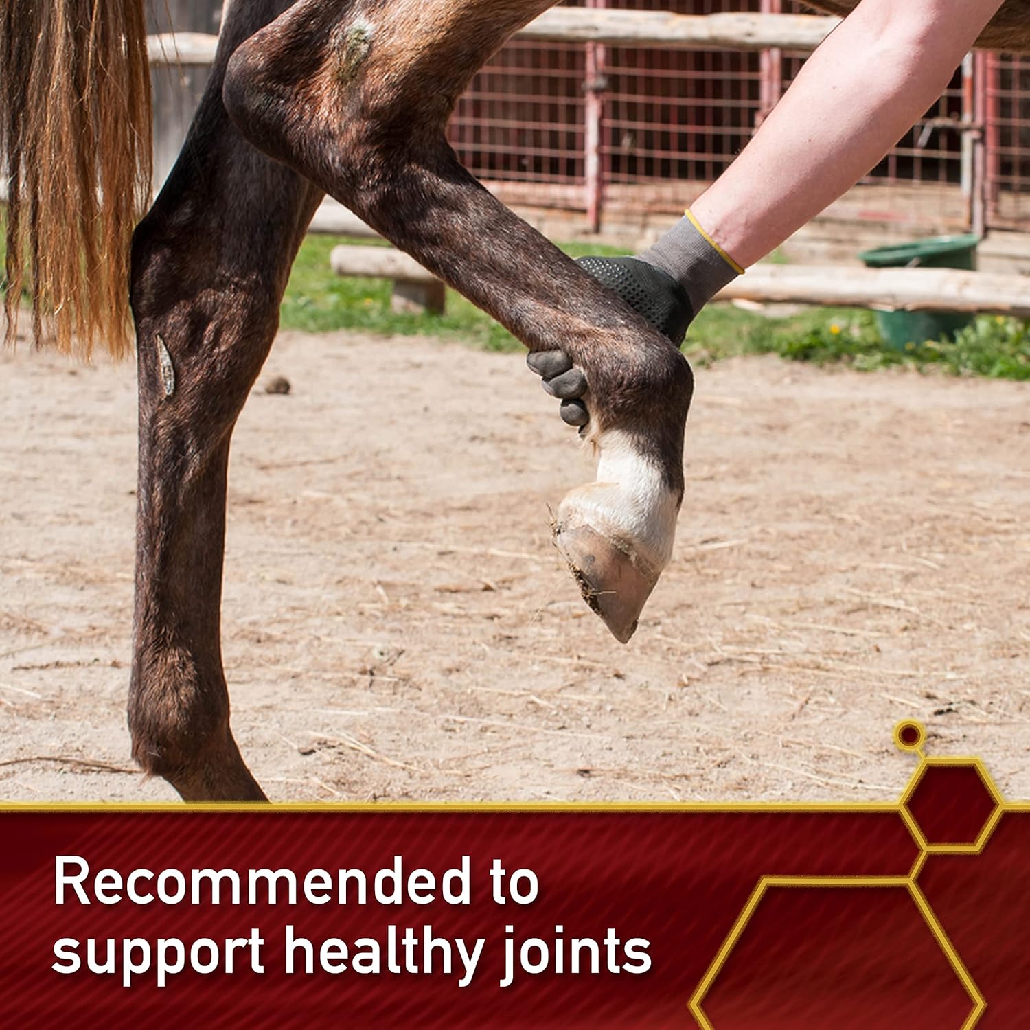 Vita Flex Ultra Pure Joint Supplement for Dogs, Horses & Cats, 4 Pounds – MSM Supplement, Equine MSM Powder for Healthy Joints, Collagen & Mobility Support, Odorless White Powder