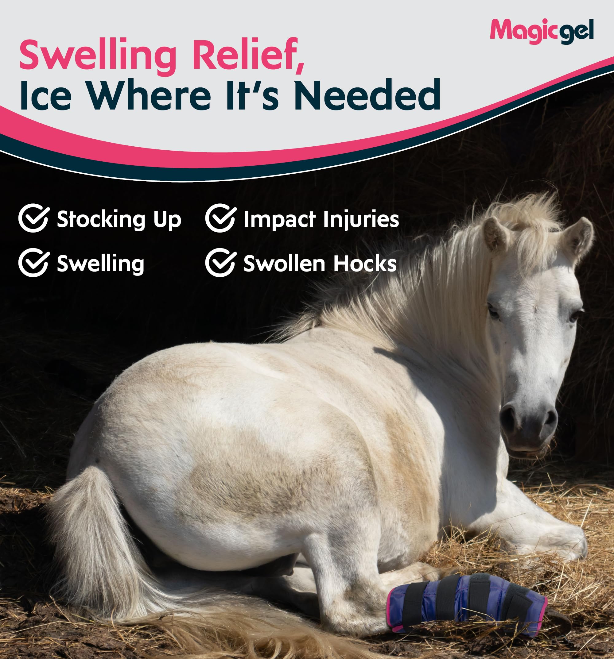 Magic Gel Horse Ice Pack with Carry Case - Single Ice Boots | Cooling Horse Leg Wraps for Hock, Ankle, Knee, Legs, Boots, and Hooves | Horse Tack & Horse Supplies & Ideal Gift for Horse Lovers Women