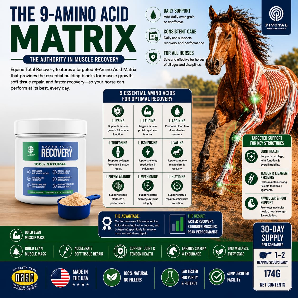 Pivotal Feeds Equine Total Recovery Suplemento – 9 aminoácidos y probióticos para caballos | Recuperación muscular, rendimiento y apoyo digestivo | Decoración de alimentación para caballos | 100 porciones