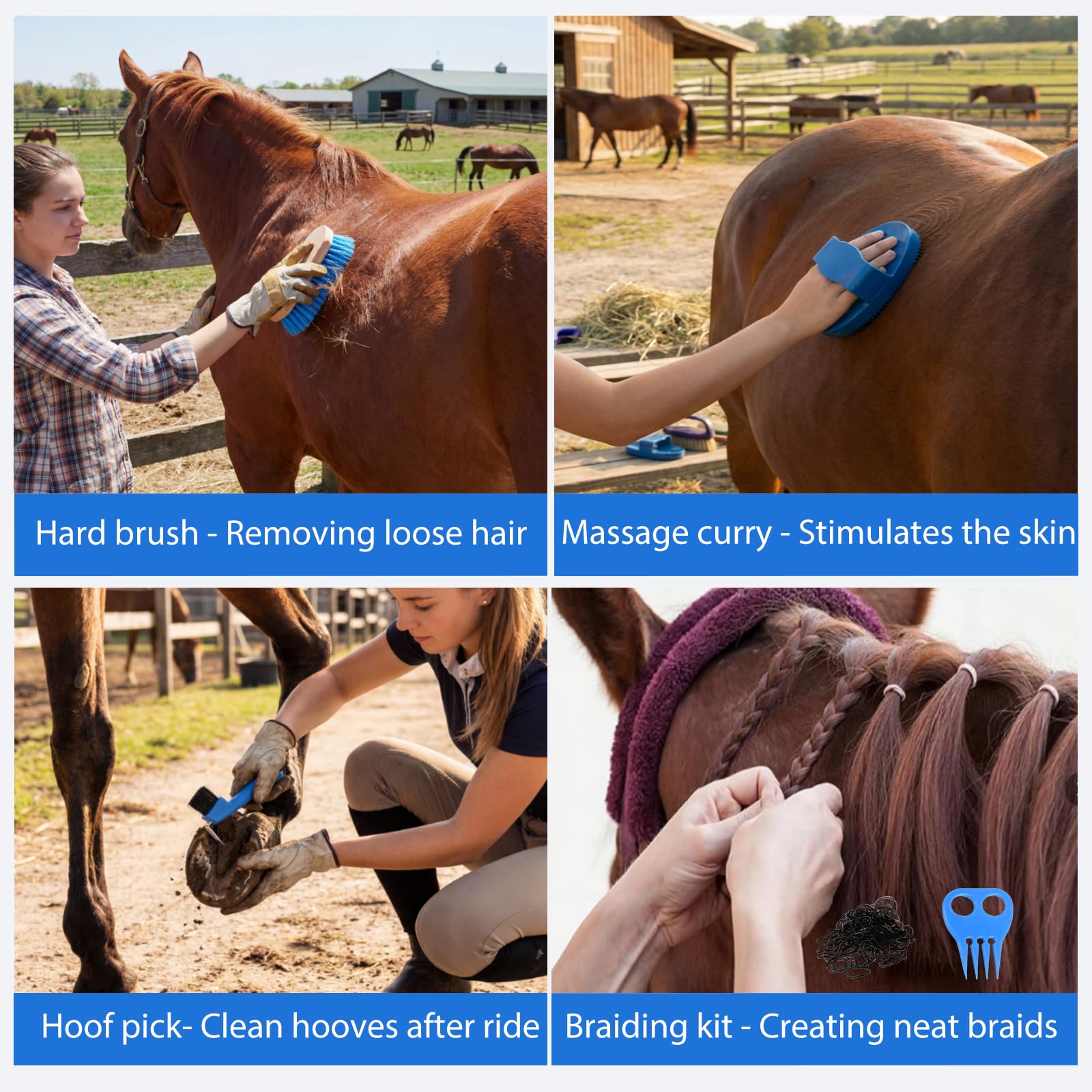 Horse Grooming Kit 13 Piece, Horse Brushes for Grooming Supplies Set with Organizer Bag, Horse Brush & Curry Comb for Effective Cleaning, Gift for Horses Riders Beginners