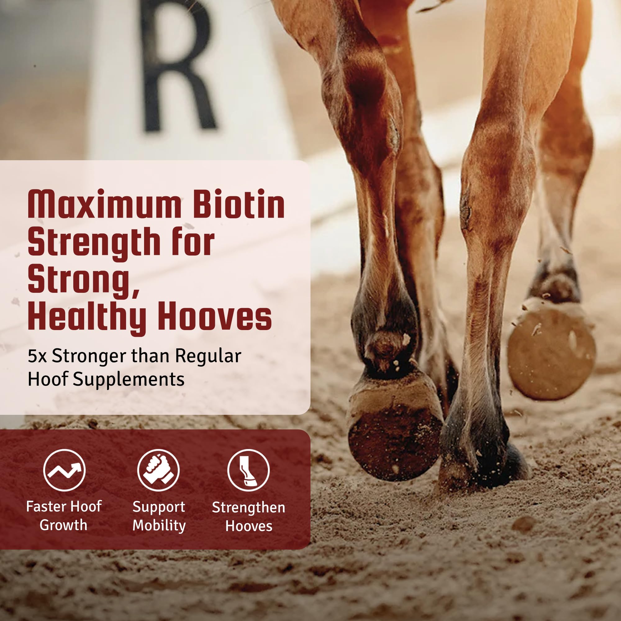 Horse Guard Hoof Supplements for Horses - 80 Servings - Biotin Hoof Blast 10lb Bag with 100mg Biotin per Serving - Concentrated Equine Hoof Health, Strengthener with MSM, Methionine, Zinc