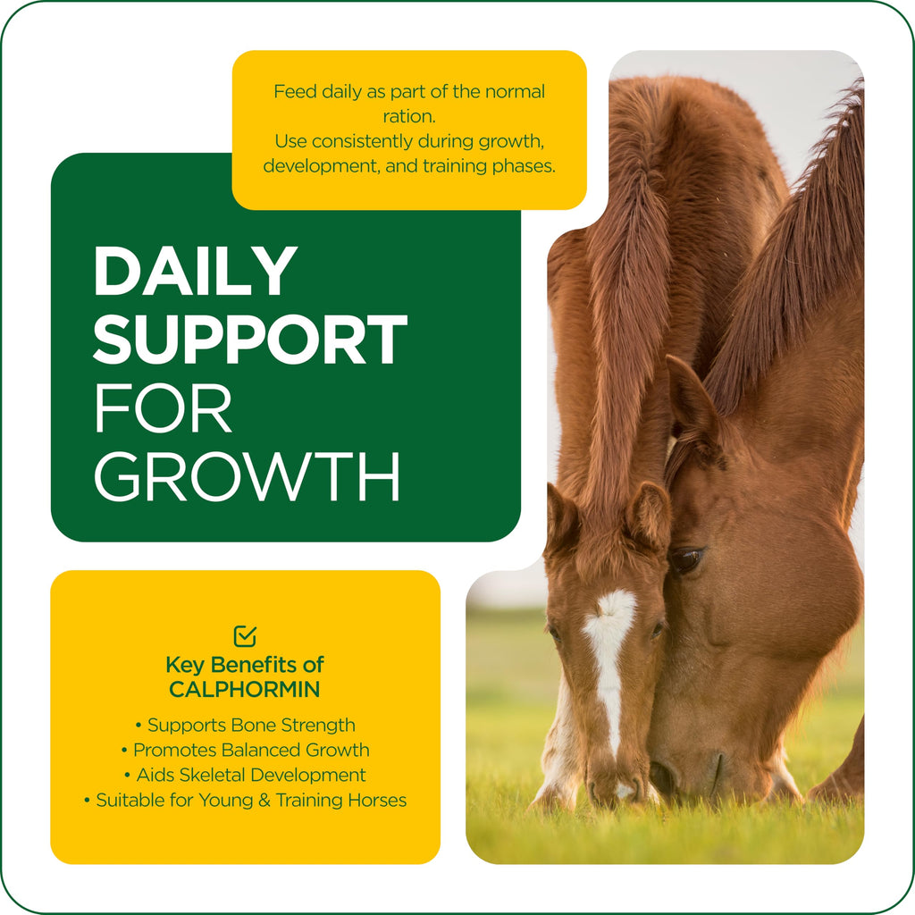 Suplemento equino rico en nutrientes TRM Calphormin para el desarrollo óseo óptimo de caballos jóvenes - 10 Kg (22 lb) - Cubeta - 22 lb