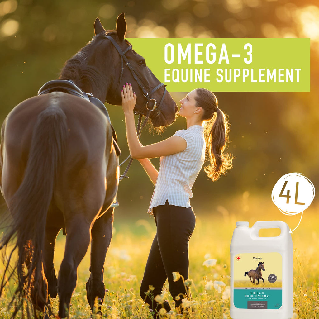 Aceite de camelina para caballos, 1 galón de Olimega Farm | Rico en Omega-3 y Vitamina E | Favorece la salud de articulaciones, pelaje y piel | Puro y prensado en frío | Suplemento para las articulaciones | Hecho en Canadá | No transgénico