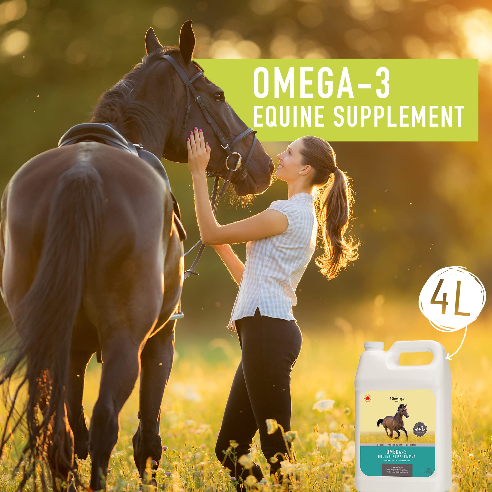 Camelina Oil for Horses, 1 Gallon by Olimega Farm | High in Omega-3 & Vitamin E | Support for Healthy Joints, Coat & Skin | Pure & Cold Pressed | Joint Supplement | Made in Canada | Non-GMO