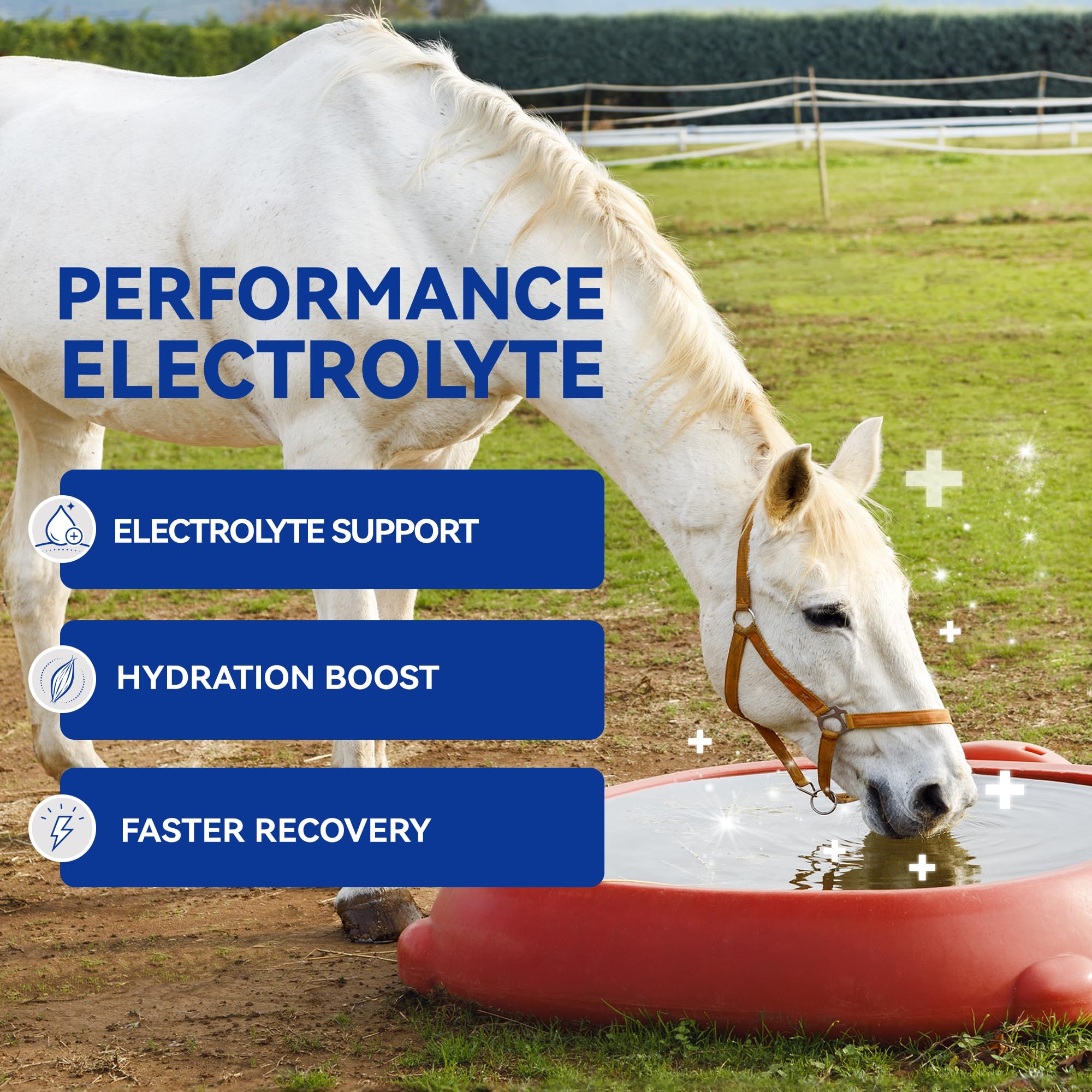 Horse Electrolytes Powder, Electrolyte for Horses with Sodium & Potassium, Equine Hydration Supplement-1400g