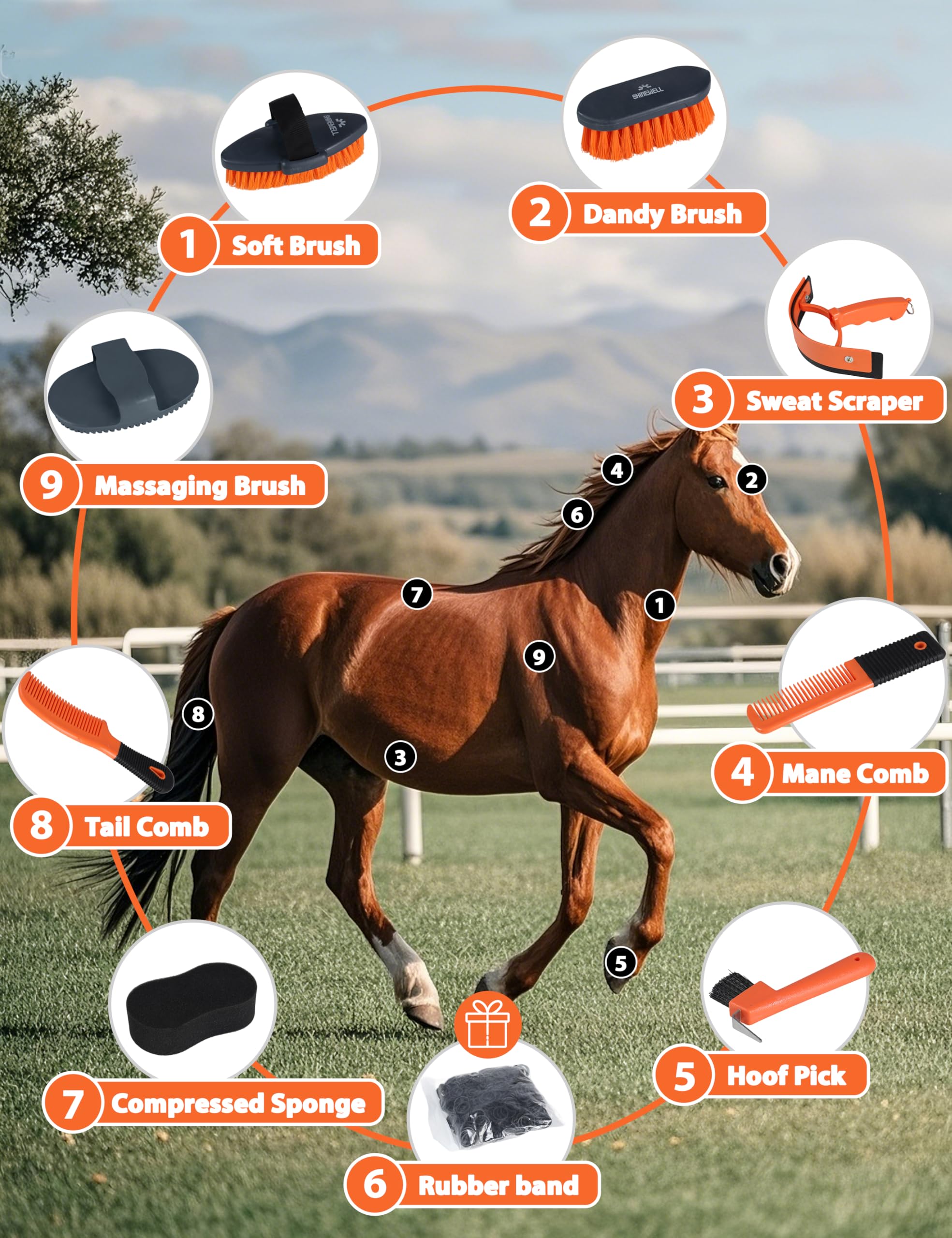 Kit de aseo Shinewell para caballos, set completo de cepillos para caballos, herramientas de aseo equino para muda y cuidado diario Naranja