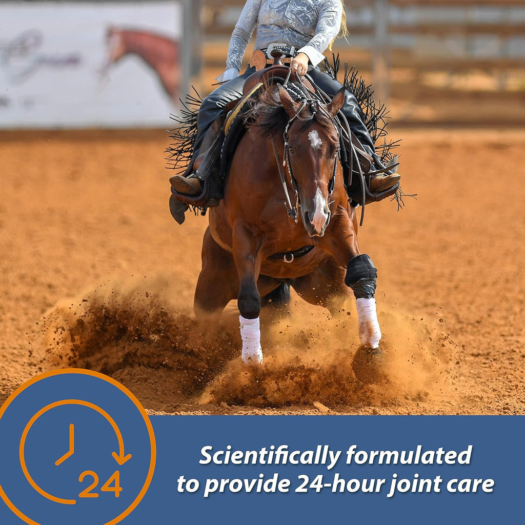 Farnam MaxFlex XR Suplemento Articular de Liberación Prolongada para Caballos, Proporciona un suministro continuo de ingredientes para la salud articular durante 24 horas, 0.9375 libras, Suministro para 30 Días
