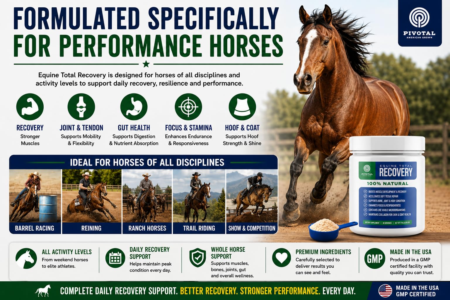 Pivotal Feeds Equine Total Recovery Suplemento – 9 aminoácidos y probióticos para caballos | Recuperación muscular, rendimiento y apoyo digestivo | Decoración de alimentación para caballos | 100 porciones