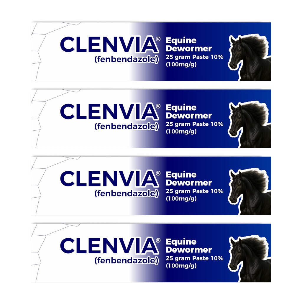 Pasta para caballos al 10% – Jeringas de 25 g – Pasta desparasitante oral para caballos de todas las edades – Cuidado equino fácil de administrar (Paquete de 6)