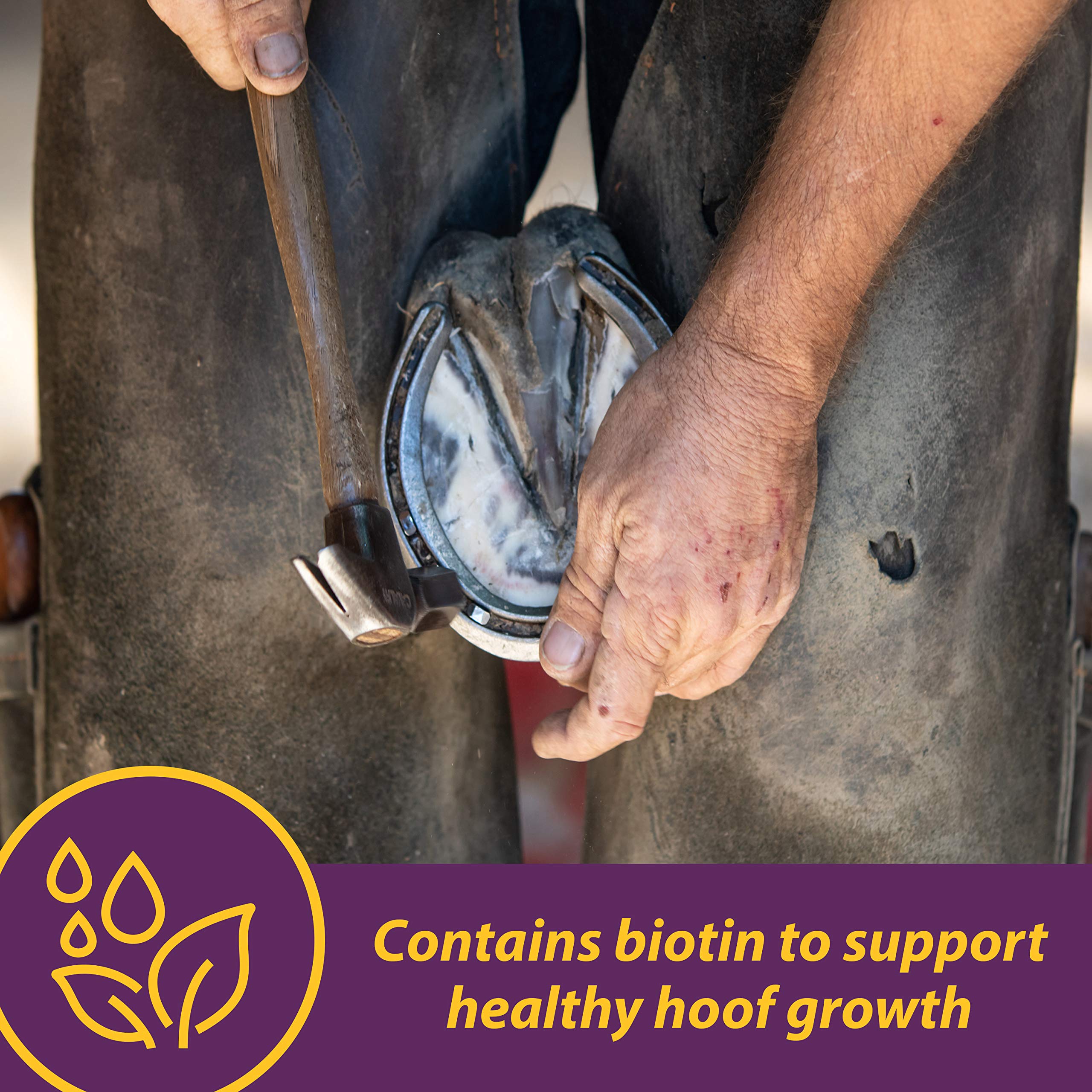 Horse Health Vita Biotin Crumbles Horse Hoof Supplement, Biotin Supplement Supports Healthy Hoof Growth, Strong Walls, Prevents Cracks & Chipping, 3 lbs, 48-Day Supply