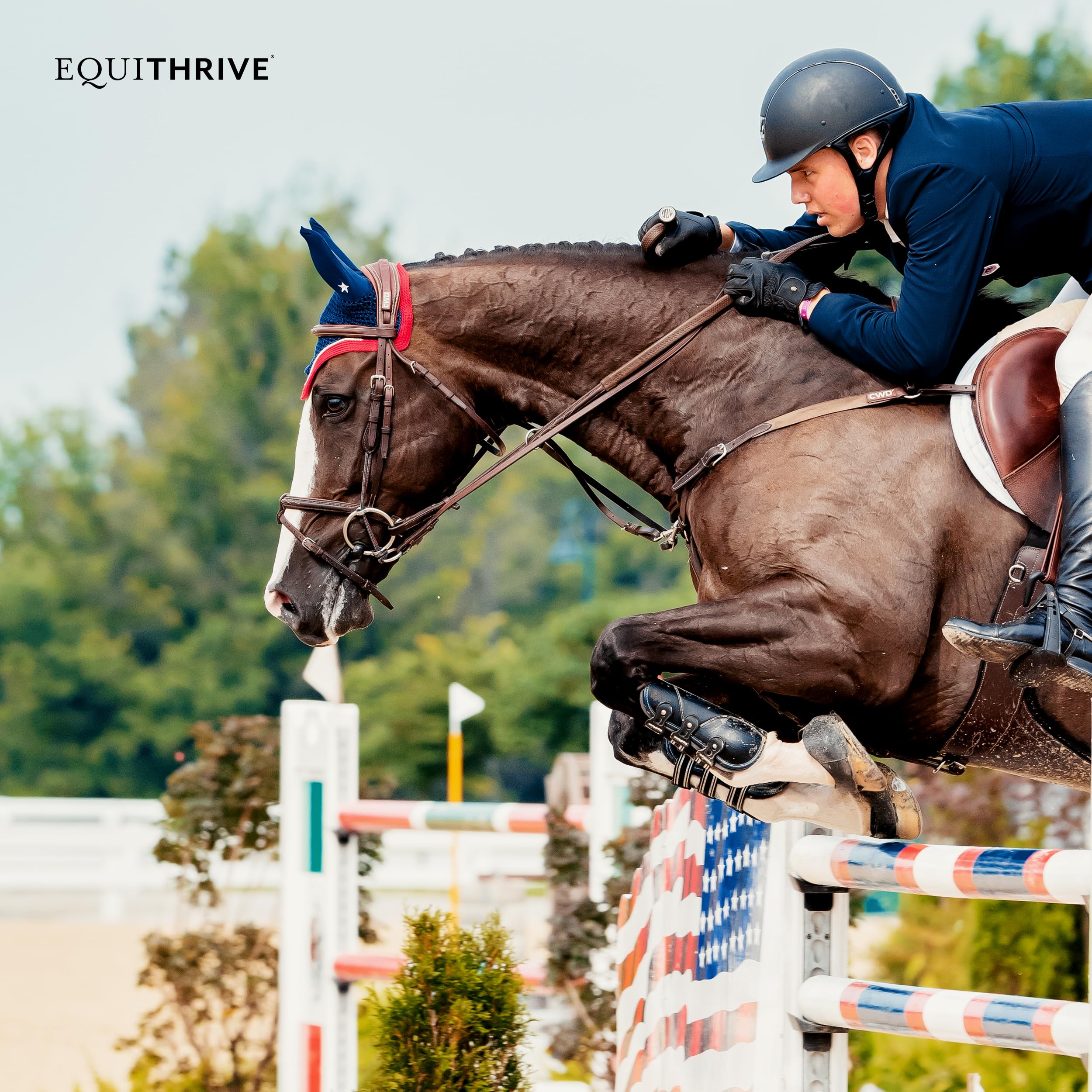Equithrive Horse Electrolyte Pellets, Vitamins and Minerals Supplement, Equine Feed Supplies for Training and Competition, .5 lbs, 3 Day Supply