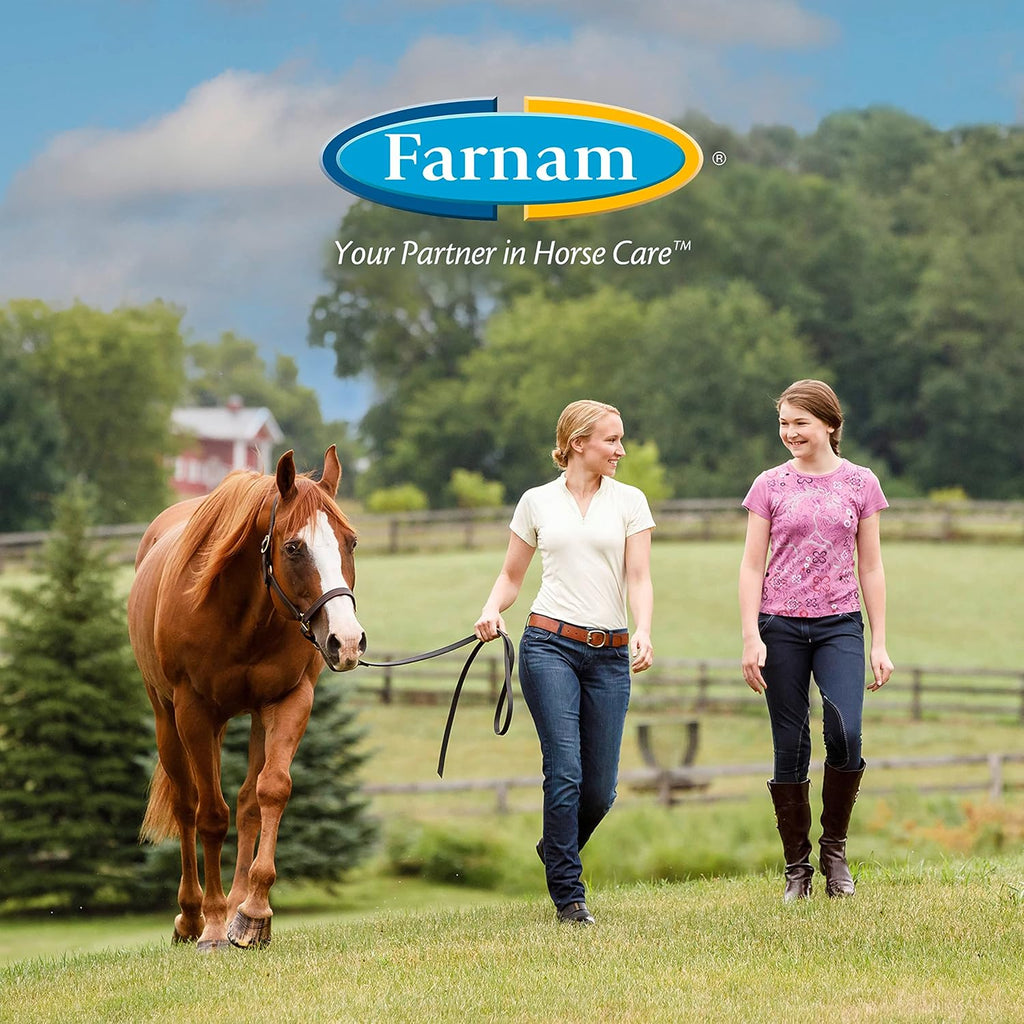 Pasta Tranquilizante Farnam Quietex II para Caballos, Jeringa de 32.5 ml, Maneja el Comportamiento Nervioso y Mantiene a los Caballos Tranquilos, Concentrados y Serenos, 7 Ingredientes para Aliviar el Estrés, Suplemento Calmante de Magnesio