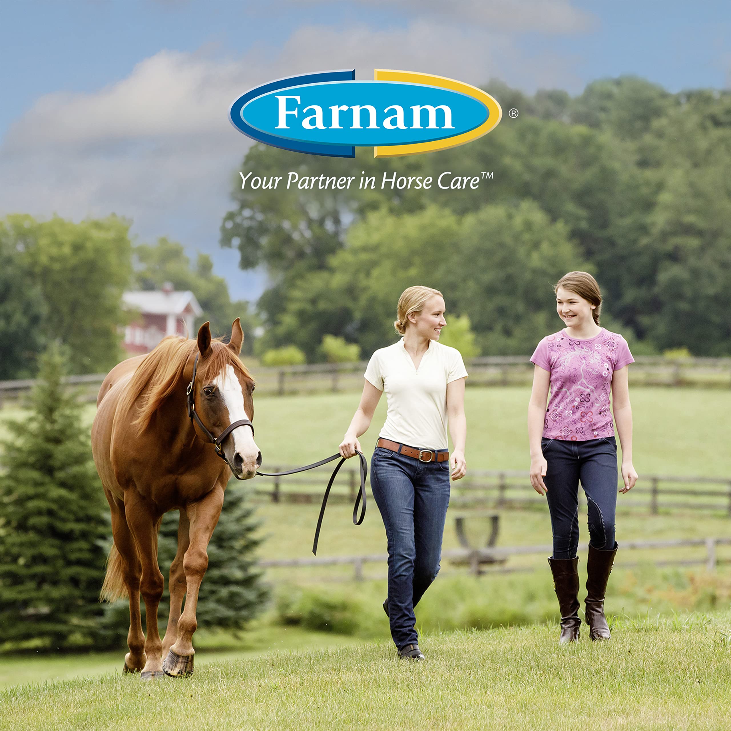 Suplemento de biotina Farnam Horseshoer's Secret Extra Strength para cascos y tejido conectivo con aminoácidos para cascos, tendones y ligamentos fuertes y saludables, 3.4 kg, suministro para 60 días