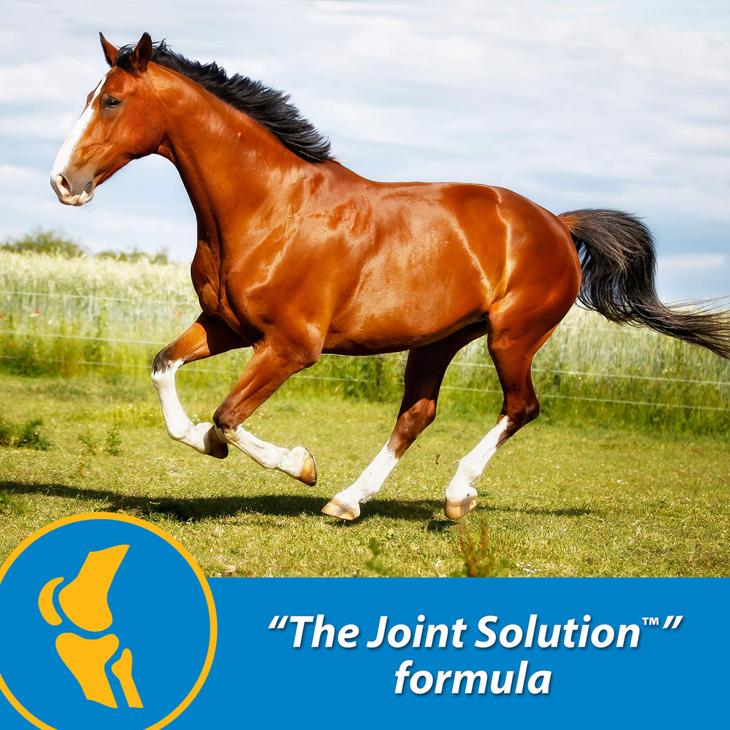 Farnam Fluidflex Suplemento Líquido para Articulaciones de Caballos, Ayuda a Mantener la Función Saludable de la Cadera y las Articulaciones, 32 Onzas Suministro para 32 Días