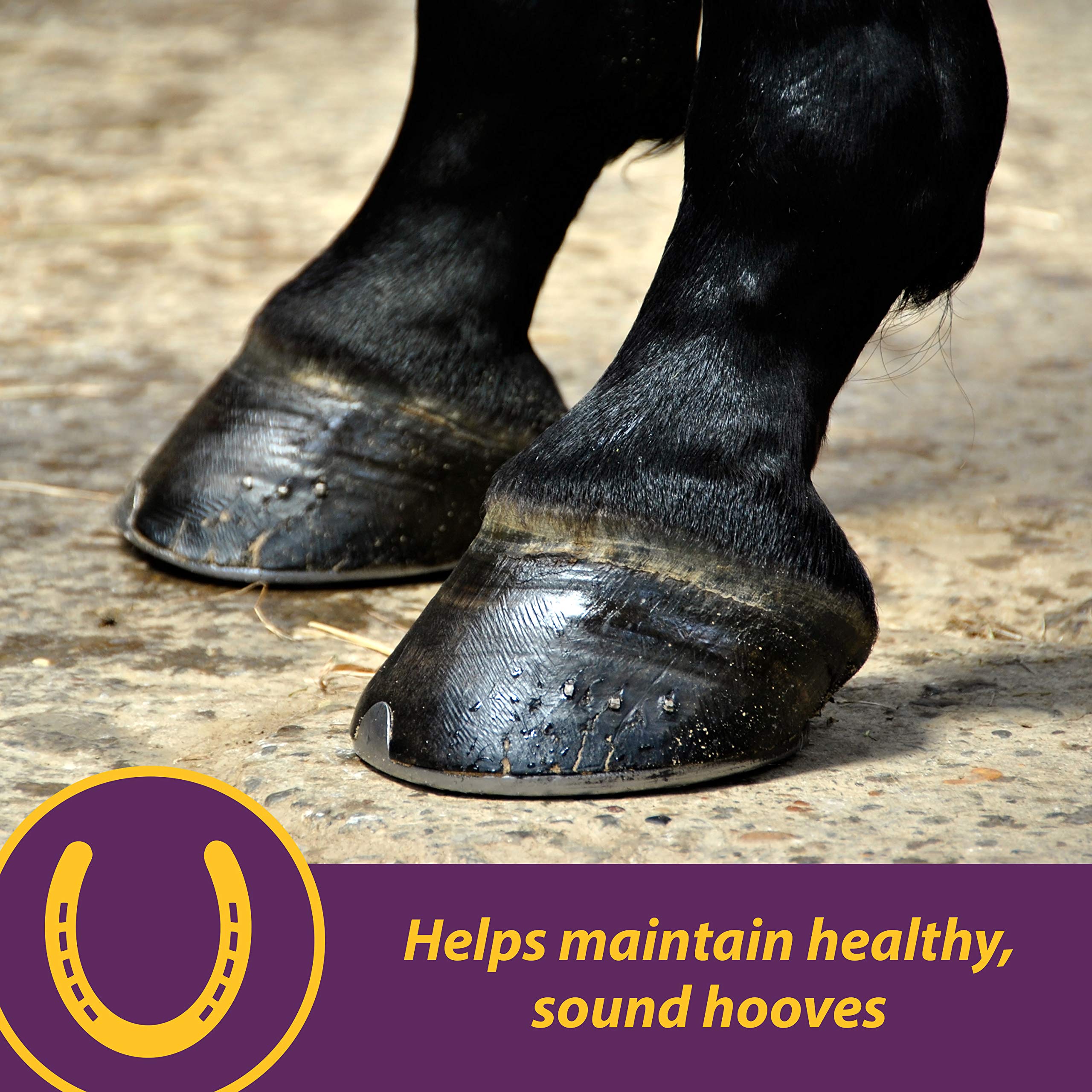 Horse Health Vita Biotin Crumbles Horse Hoof Supplement, Biotin Supplement Supports Healthy Hoof Growth, Strong Walls, Prevents Cracks & Chipping, 3 lbs, 48-Day Supply