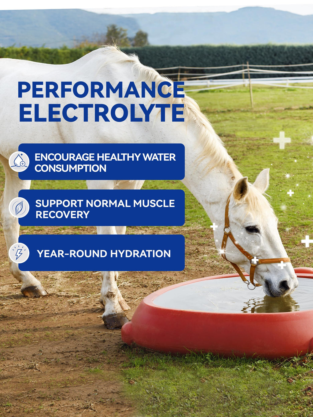 Electrolitos en Polvo para Caballos, Electrolitos para Equinos con Sodio y Potasio, Suplemento para la Hidratación Equina-1400g