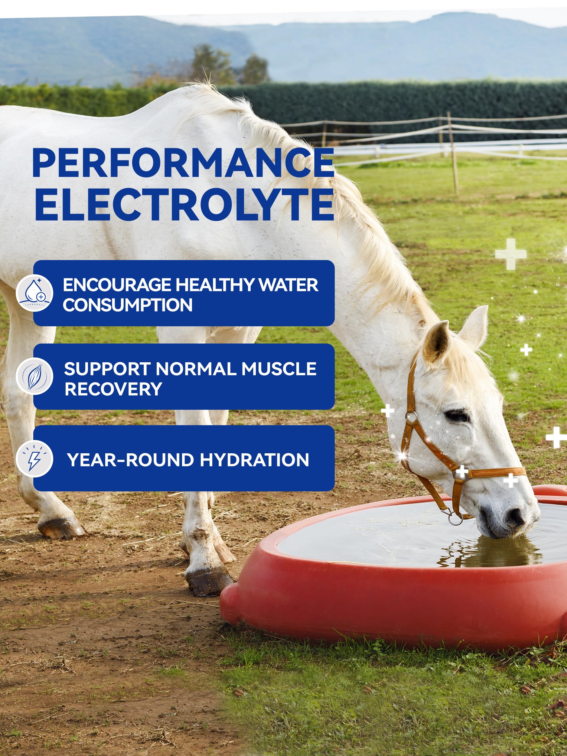 Electrolitos en Polvo para Caballos, Electrolitos para Equinos con Sodio y Potasio, Suplemento para la Hidratación Equina-1400g