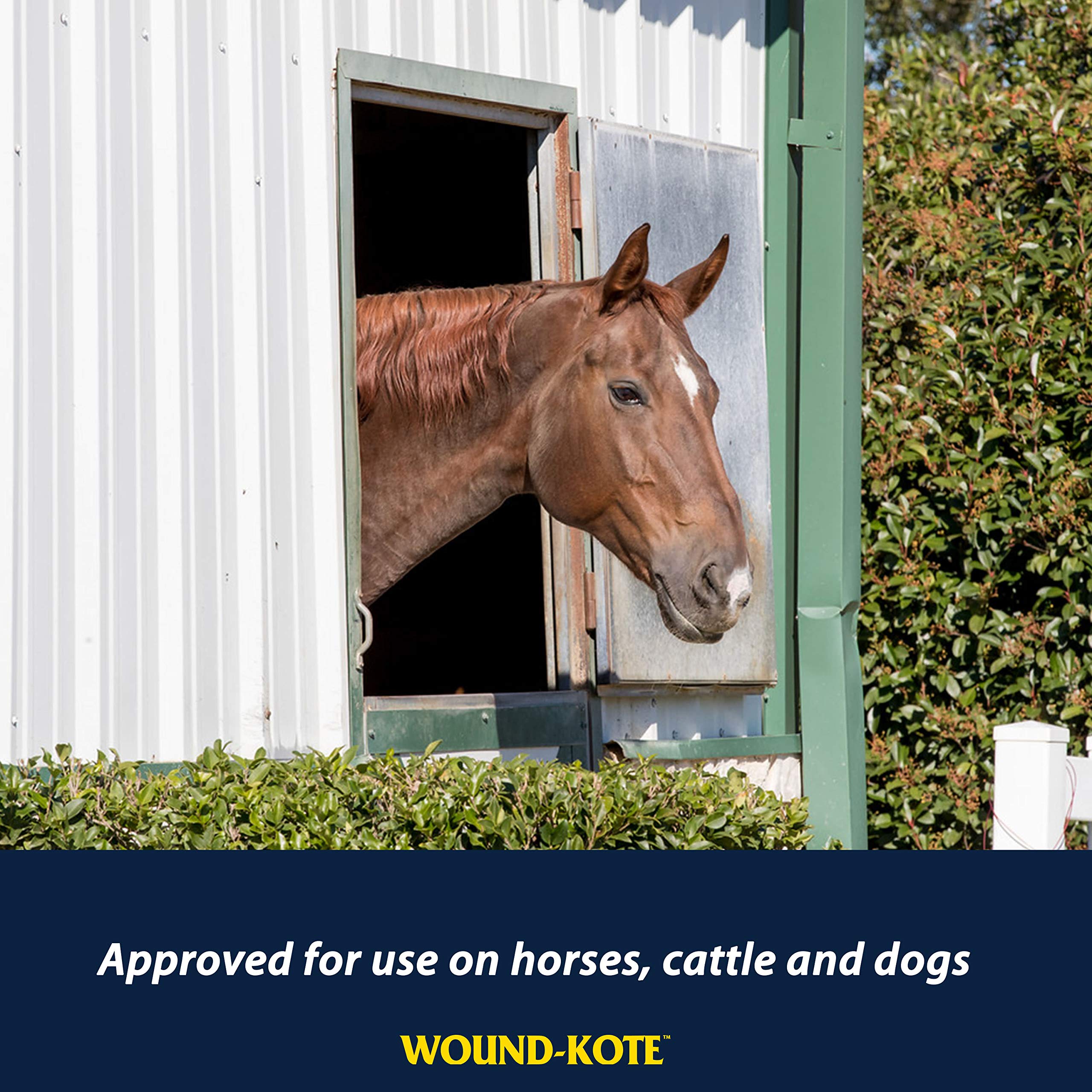 Farnam Wound-Kote Blue Lotion Spray Horse Wound Care for use on Horses and Dogs, Antiseptic Properties, for Minor Wounds, Cuts and Sores, 7 Oz.