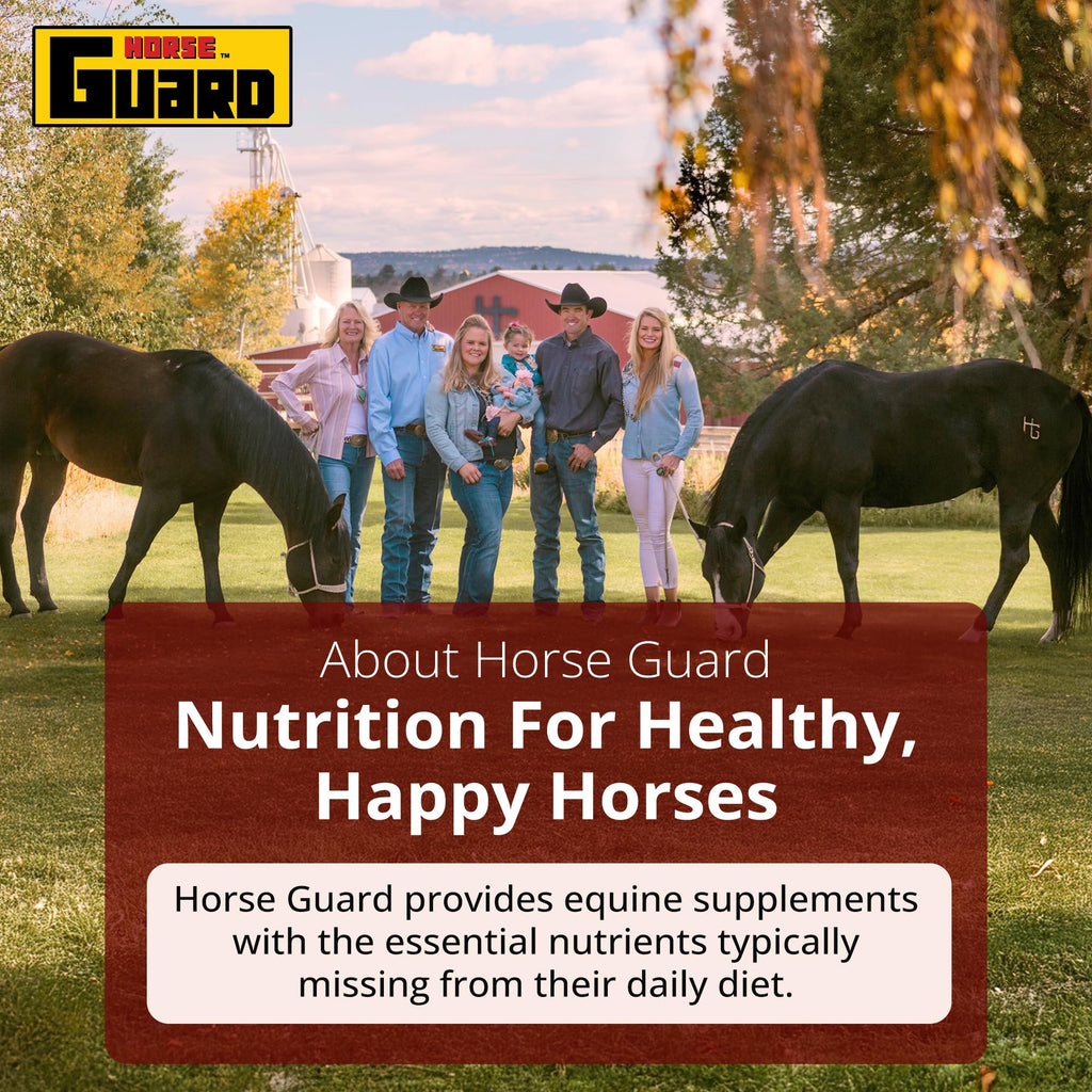 Suplementos para cascos Horse Guard para caballos - 80 dosis - Bolsa Biotin Hoof Blast de 10 lb con 100 mg de biotina por dosis - Salud concentrada para cascos equinos, fortalecedor con MSM, metionina, zinc