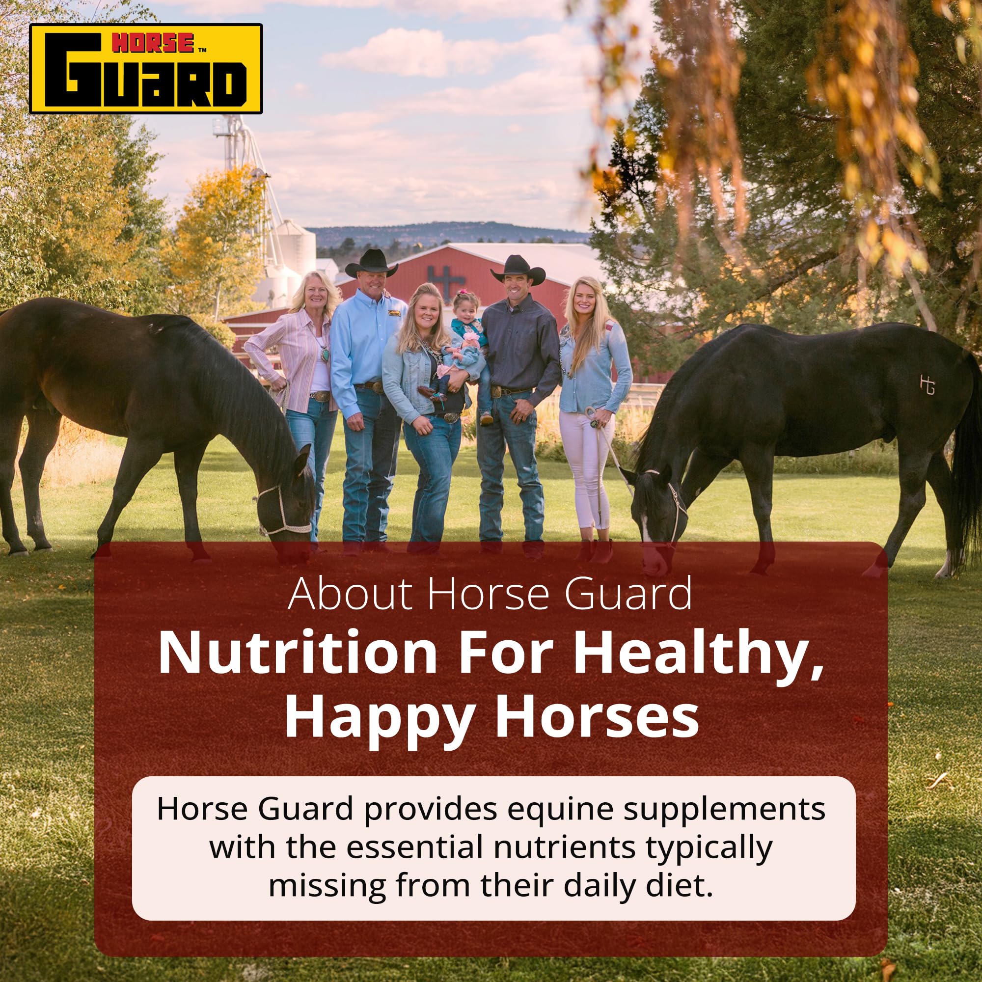 Suplementos para cascos Horse Guard para caballos - 80 dosis - Bolsa Biotin Hoof Blast de 10 lb con 100 mg de biotina por dosis - Salud concentrada para cascos equinos, fortalecedor con MSM, metionina, zinc