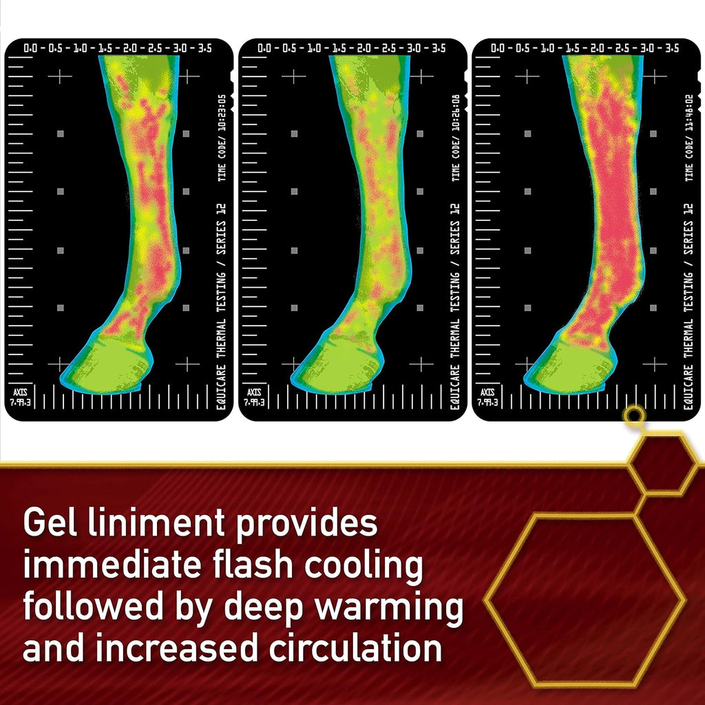 Gel linimento Thermaflex de Vita Flex para el alivio del dolor muscular y articular en caballos, 12 onzas líquidas