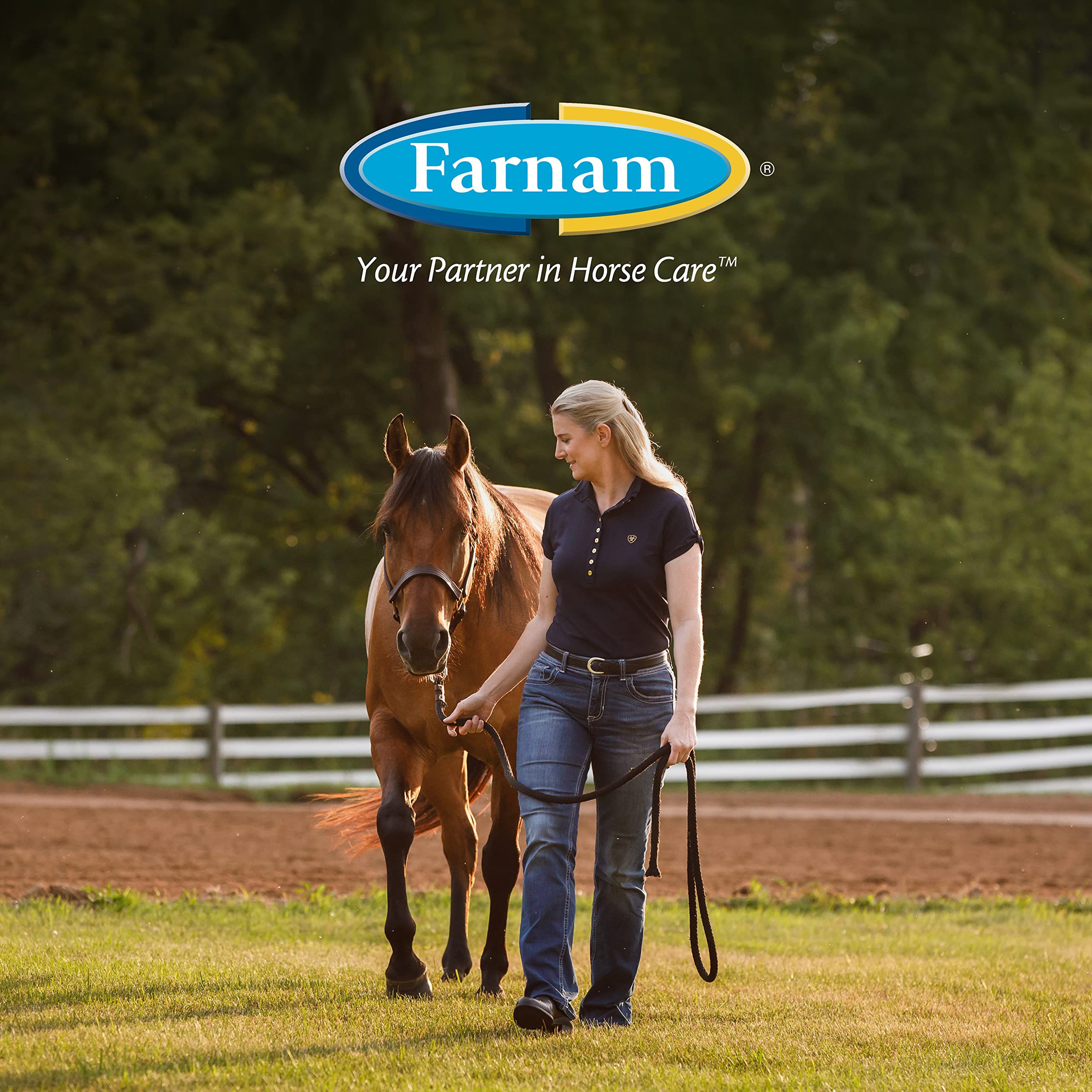 Suplemento Farnam Next Level Joint Fluid para caballos y perros, ayuda a mantener el tejido conectivo para aliviar la rigidez de las articulaciones debido a la actividad diaria, 473 ml, suministro para 16 días