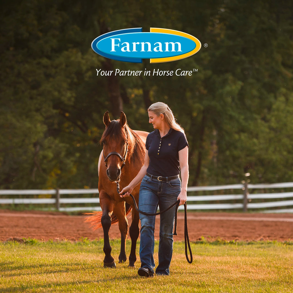 Suplemento Farnam Next Level Joint Fluid para caballos y perros, ayuda a mantener el tejido conectivo para aliviar la rigidez de las articulaciones debido a la actividad diaria, 473 ml, suministro para 16 días