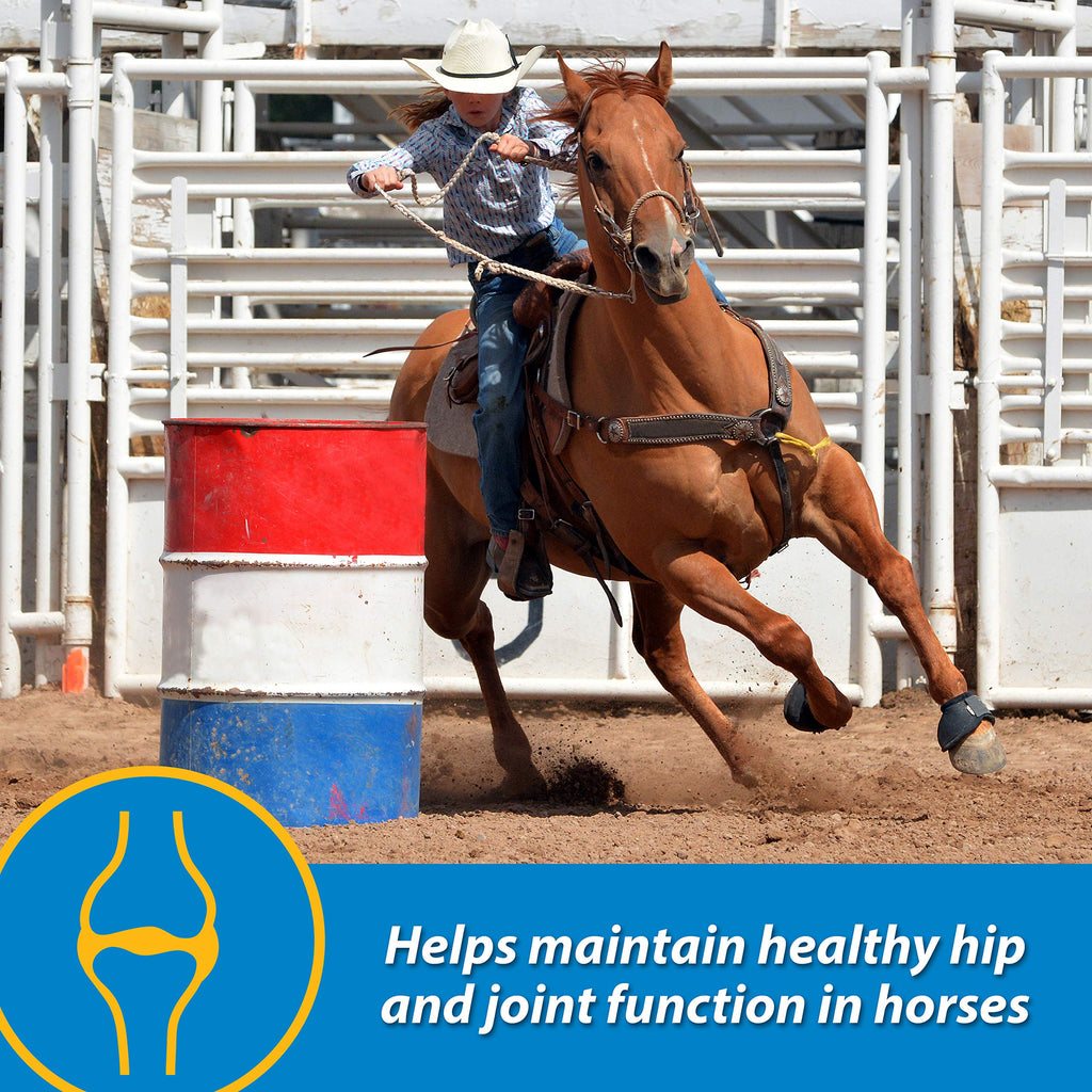 Farnam Fluidflex Suplemento Líquido para Articulaciones de Caballos, Ayuda a Mantener la Función Saludable de la Cadera y las Articulaciones, 32 Onzas Suministro para 32 Días