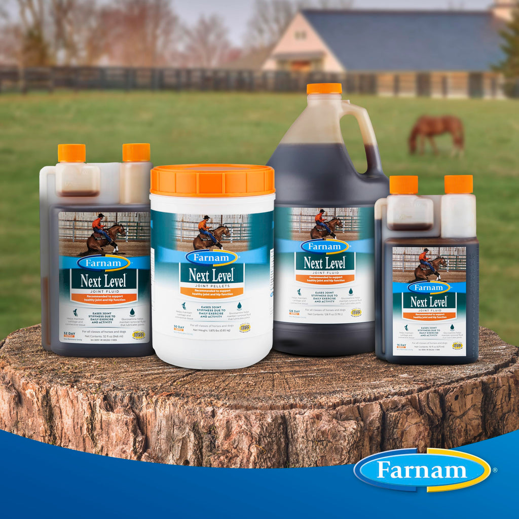 Suplemento Farnam Next Level Joint Fluid para caballos y perros, ayuda a mantener el tejido conectivo para aliviar la rigidez de las articulaciones debido a la actividad diaria, 473 ml, suministro para 16 días